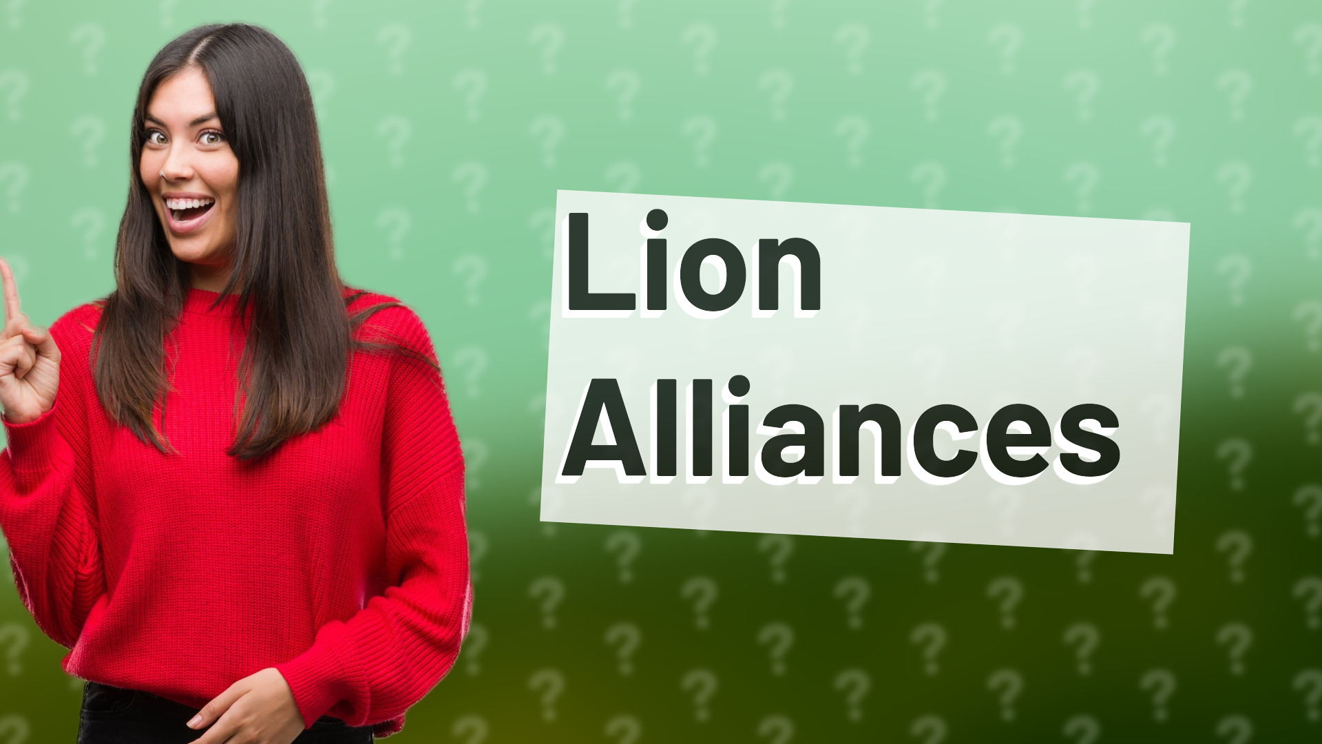 Lion Alliances