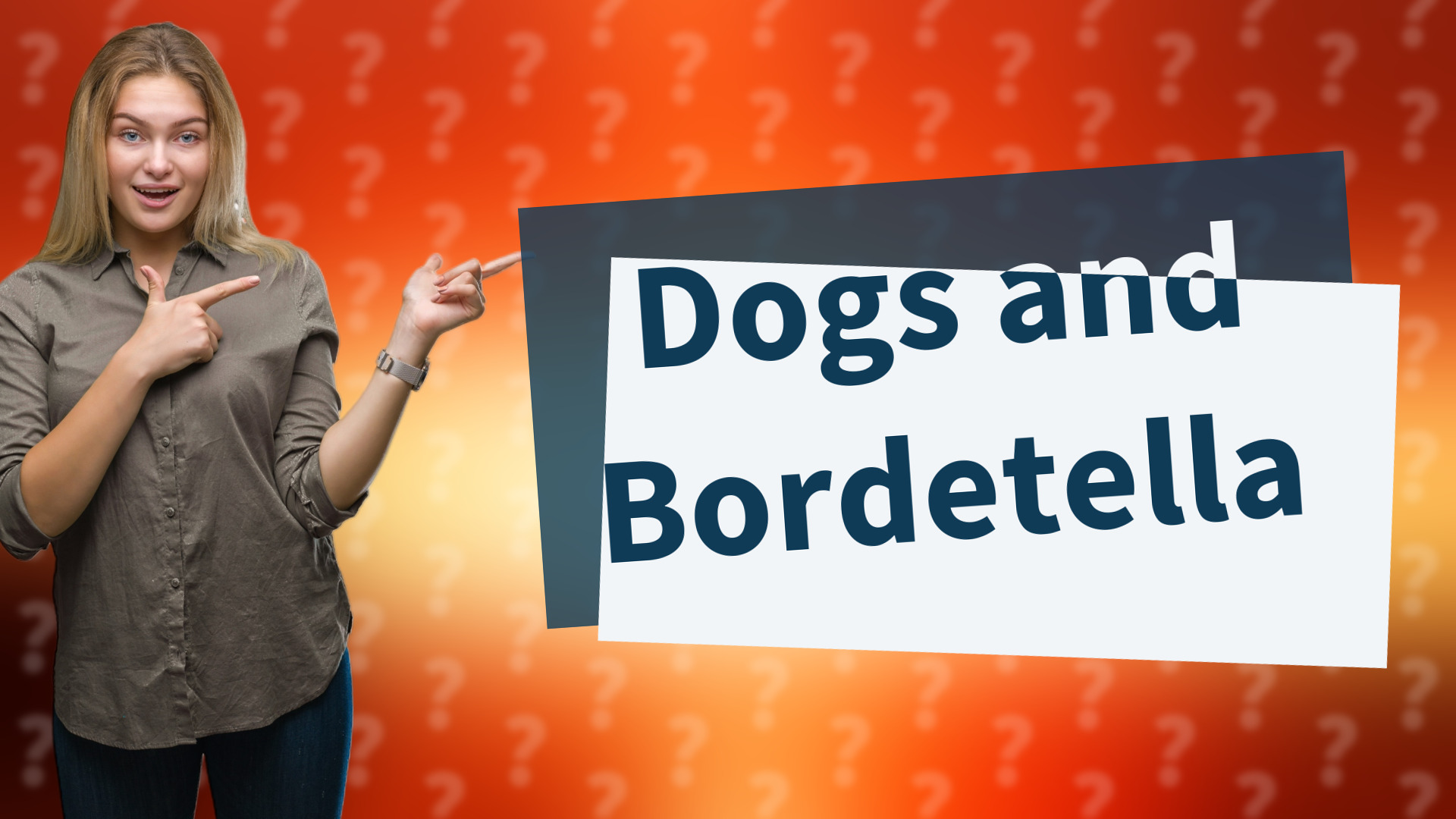 Dogs and Bordetella
