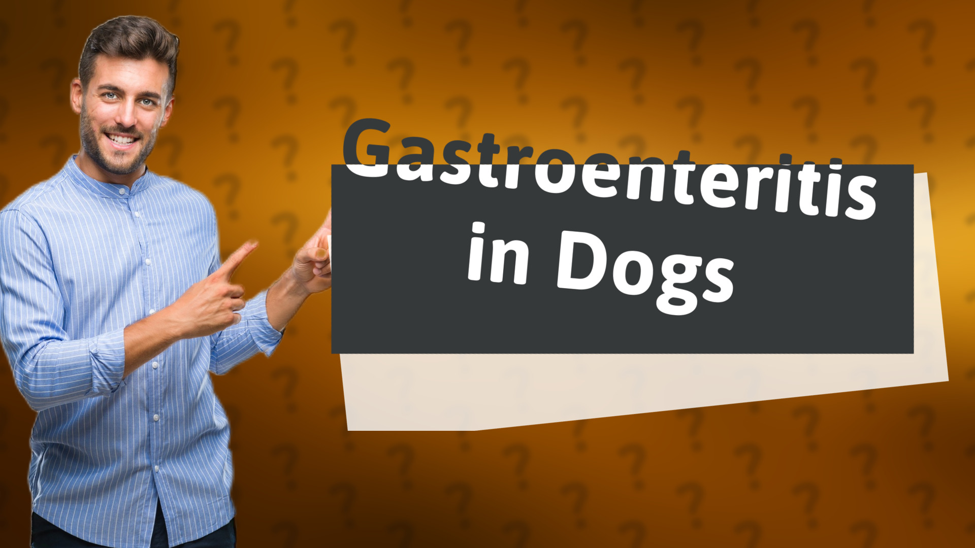 Gastroenteritis in Dogs