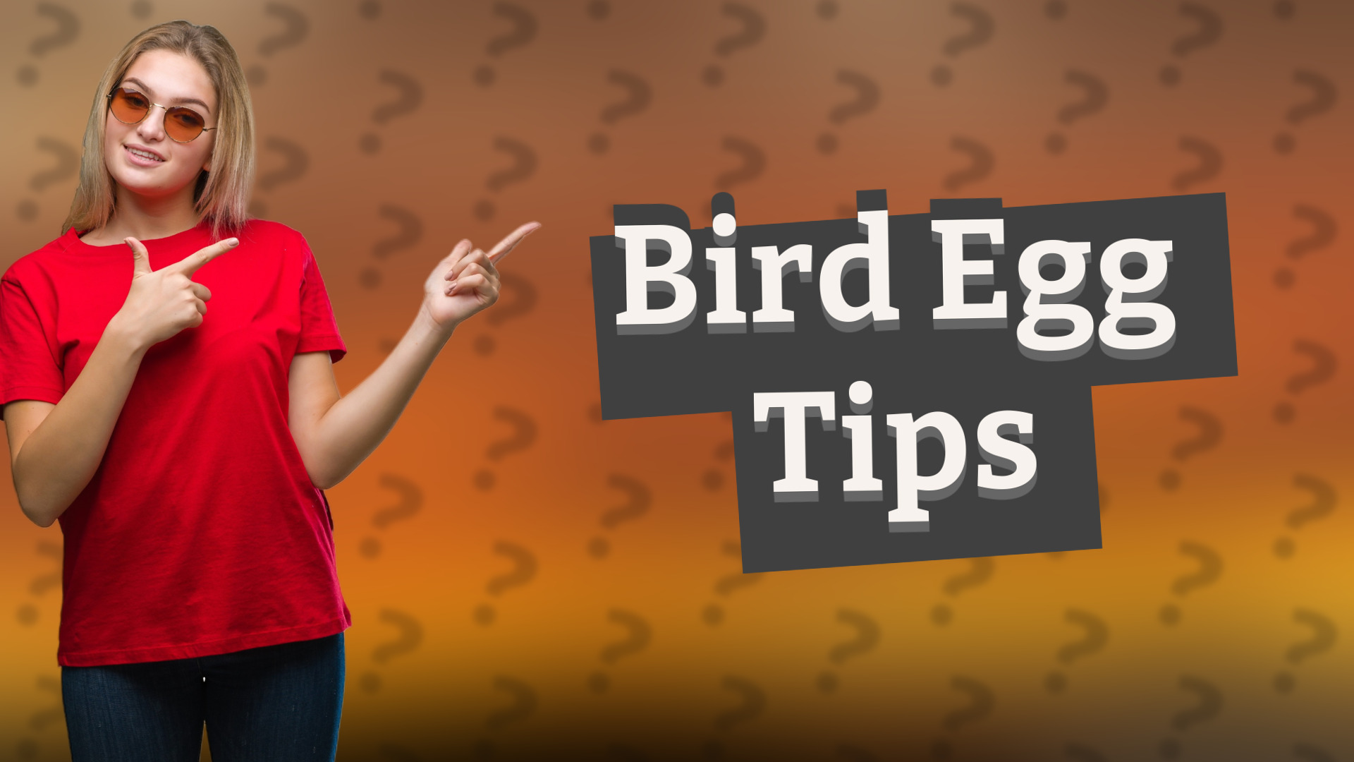 Bird Egg Tips