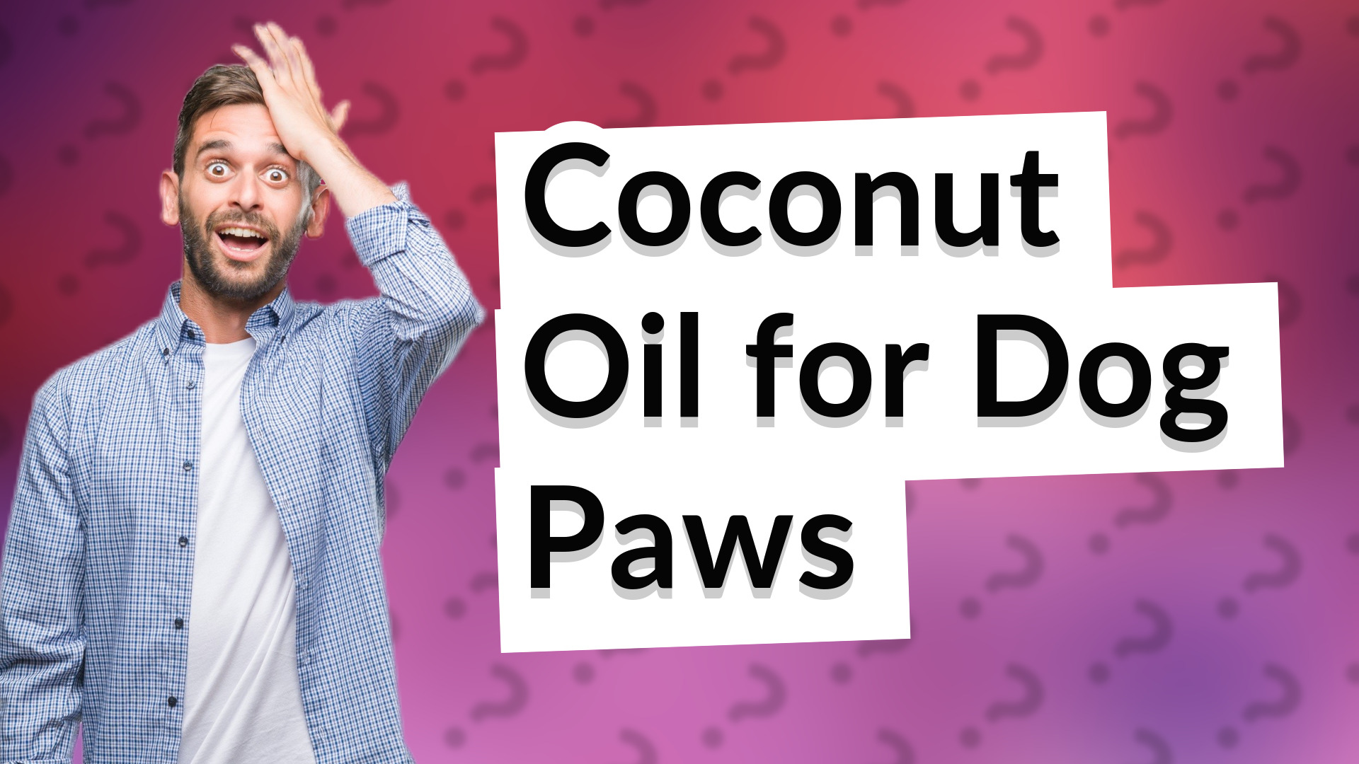 Coconut Oil for Dog Paws