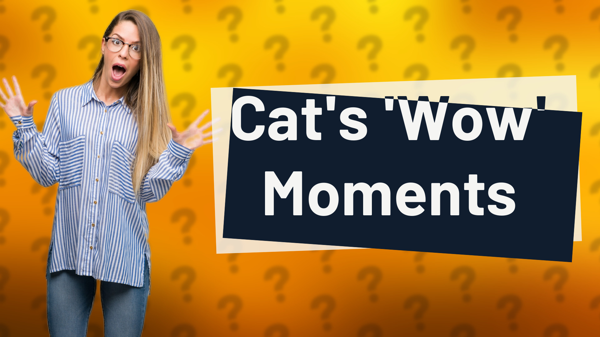 Cat's 'Wow' Moments