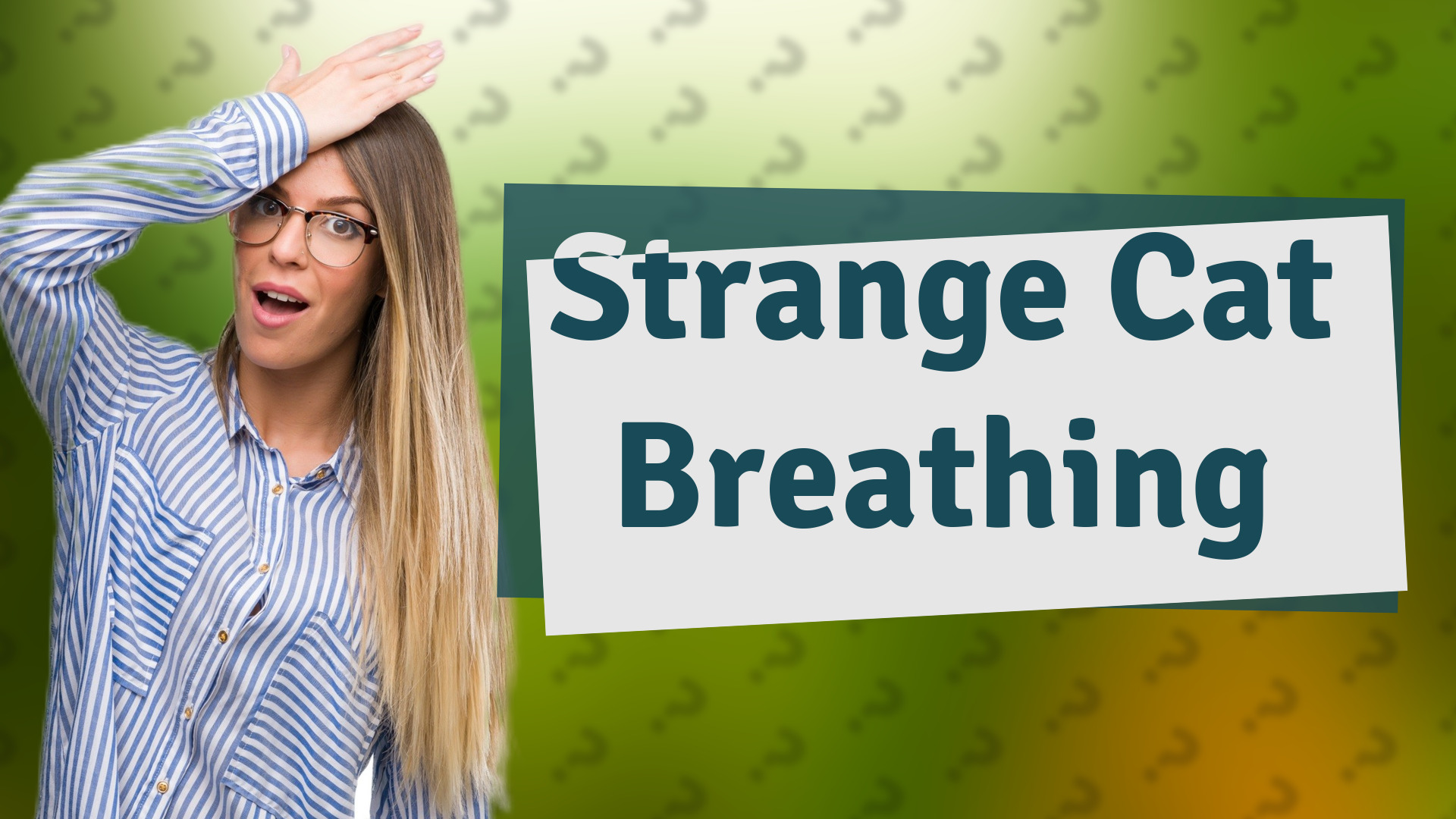 Strange Cat Breathing