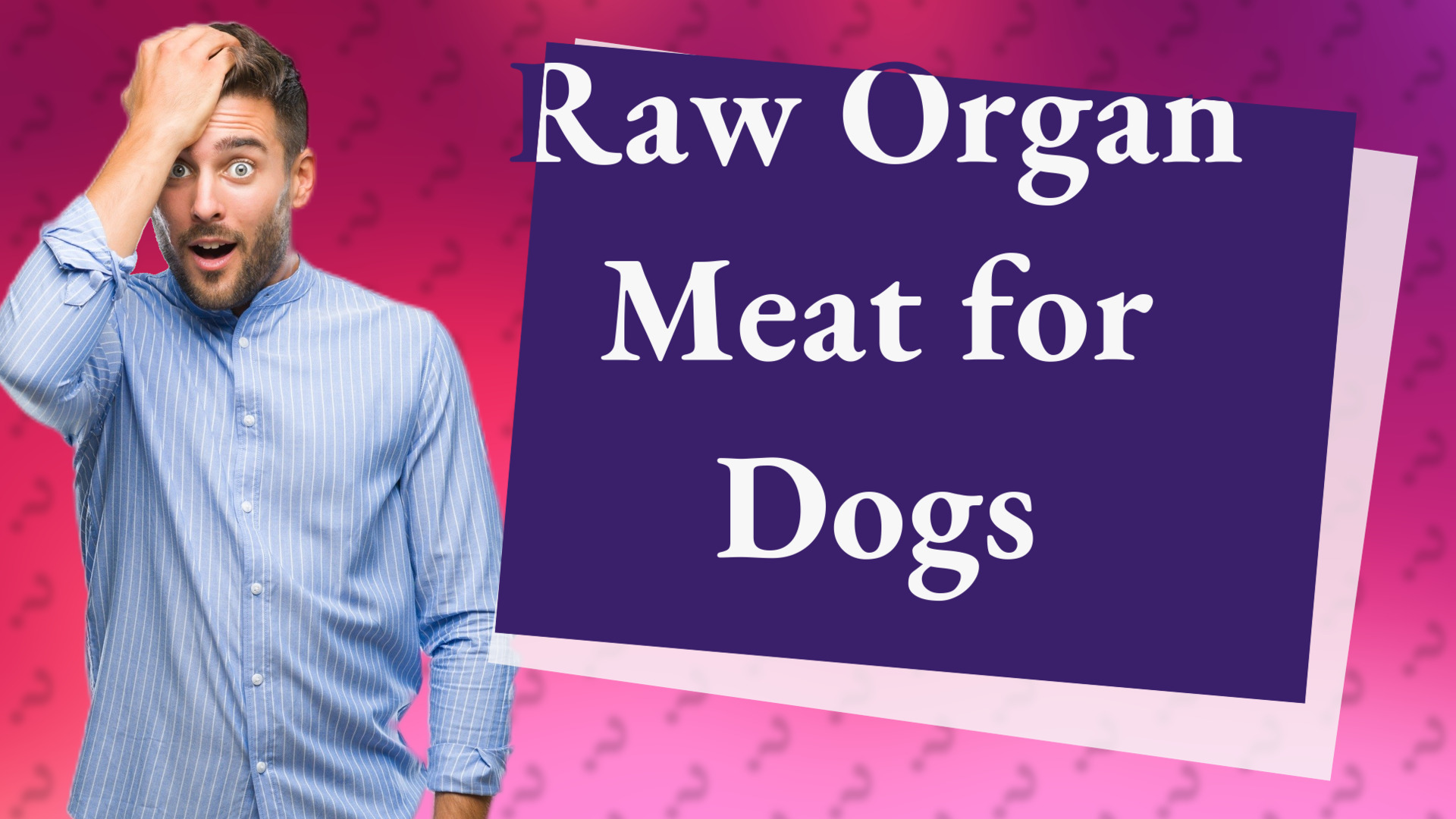 Raw Organ Meat for Dogs