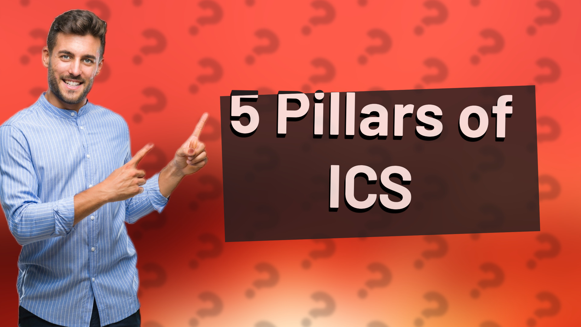 5 Pillars of ICS