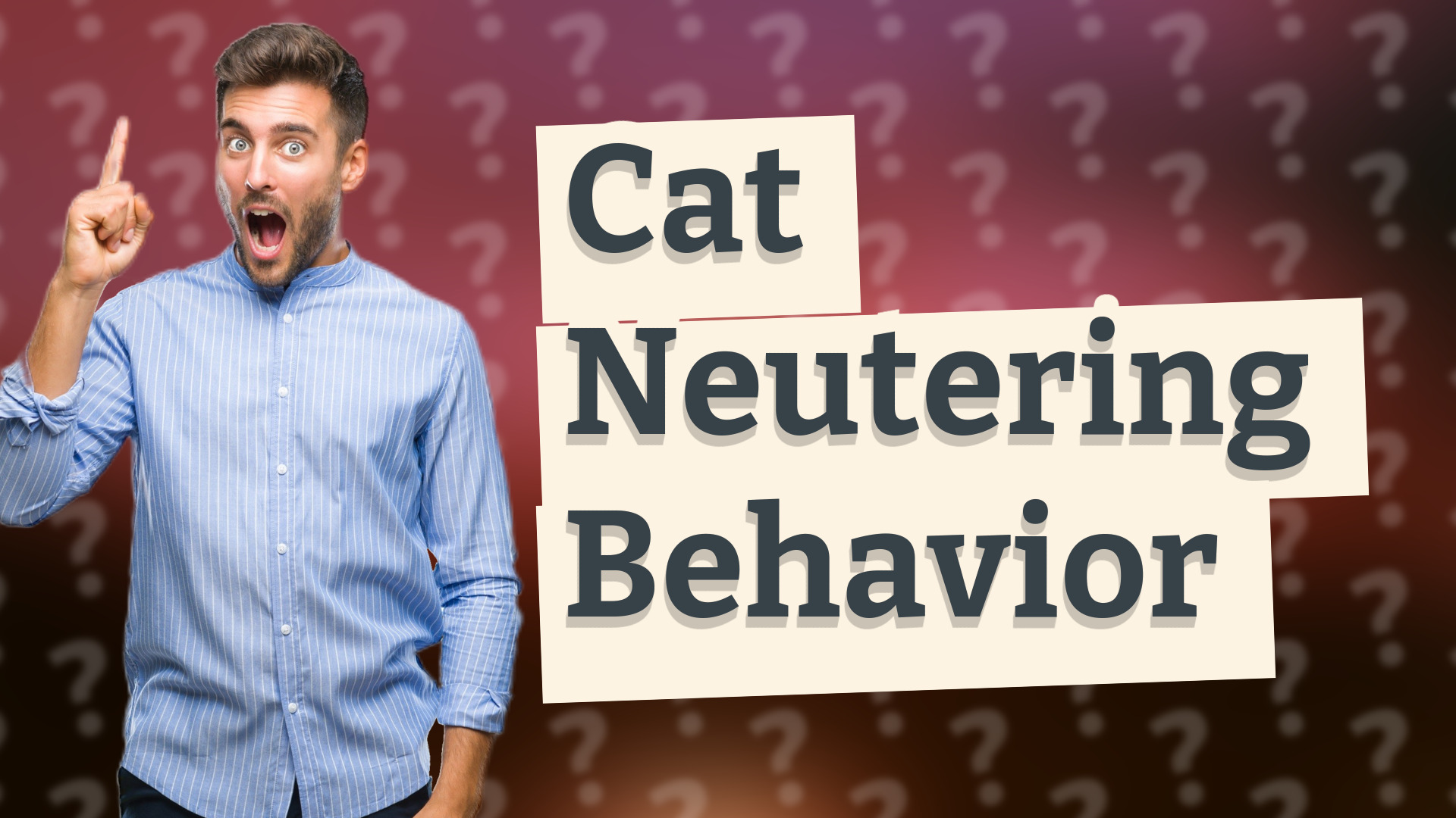 Cat Neutering Behavior