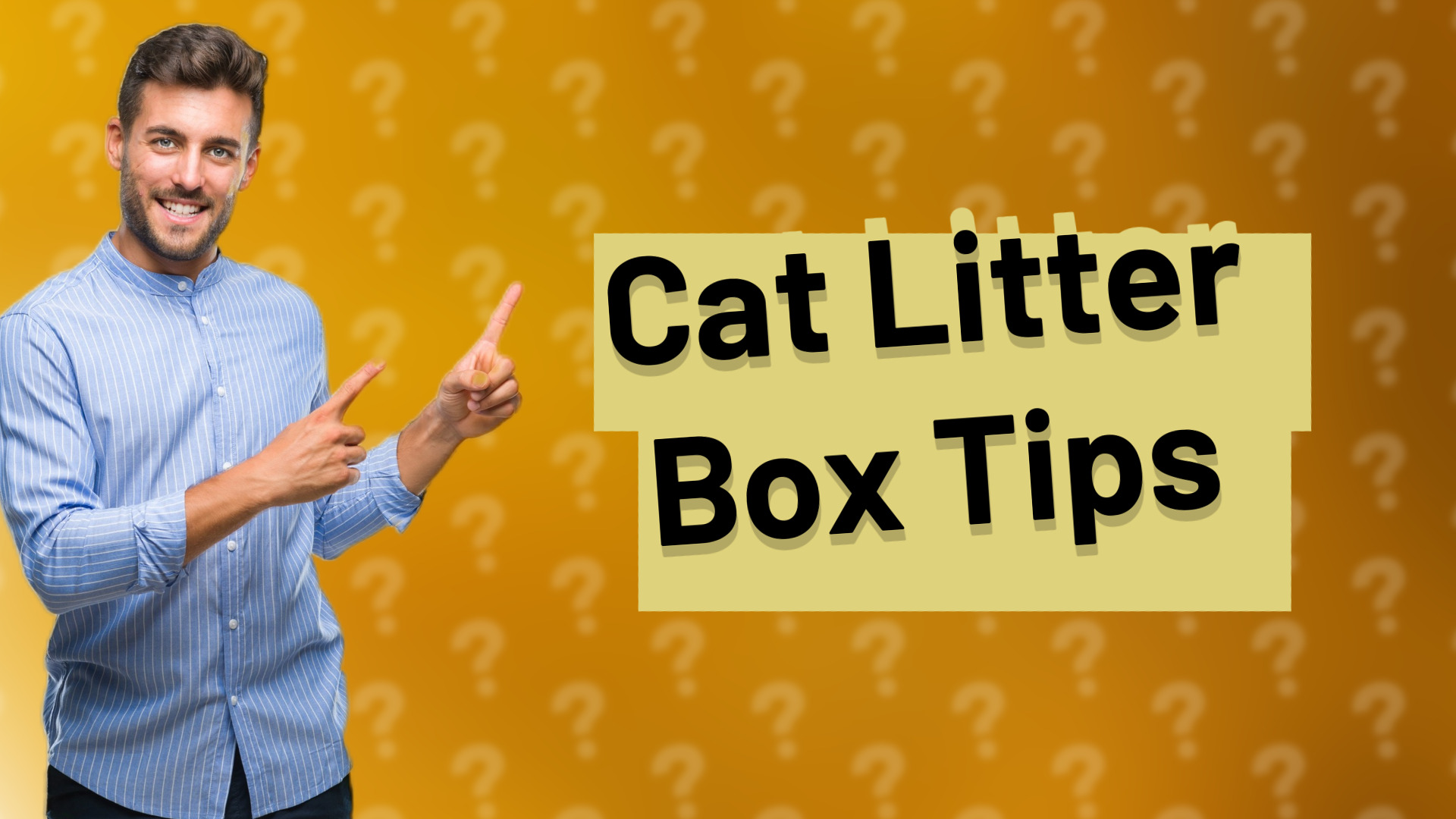 Cat Litter Box Tips