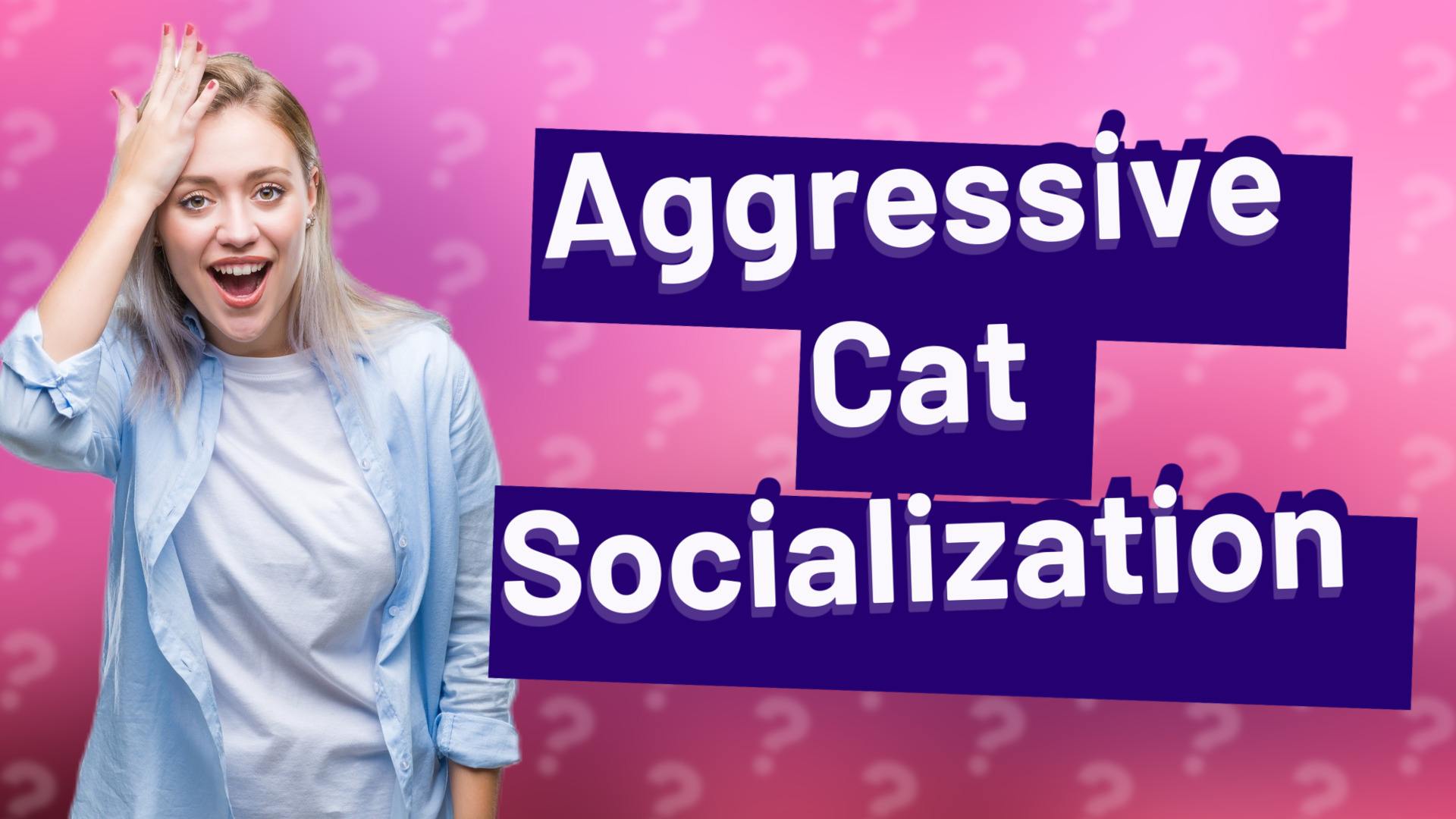 Aggressive Cat Socialization