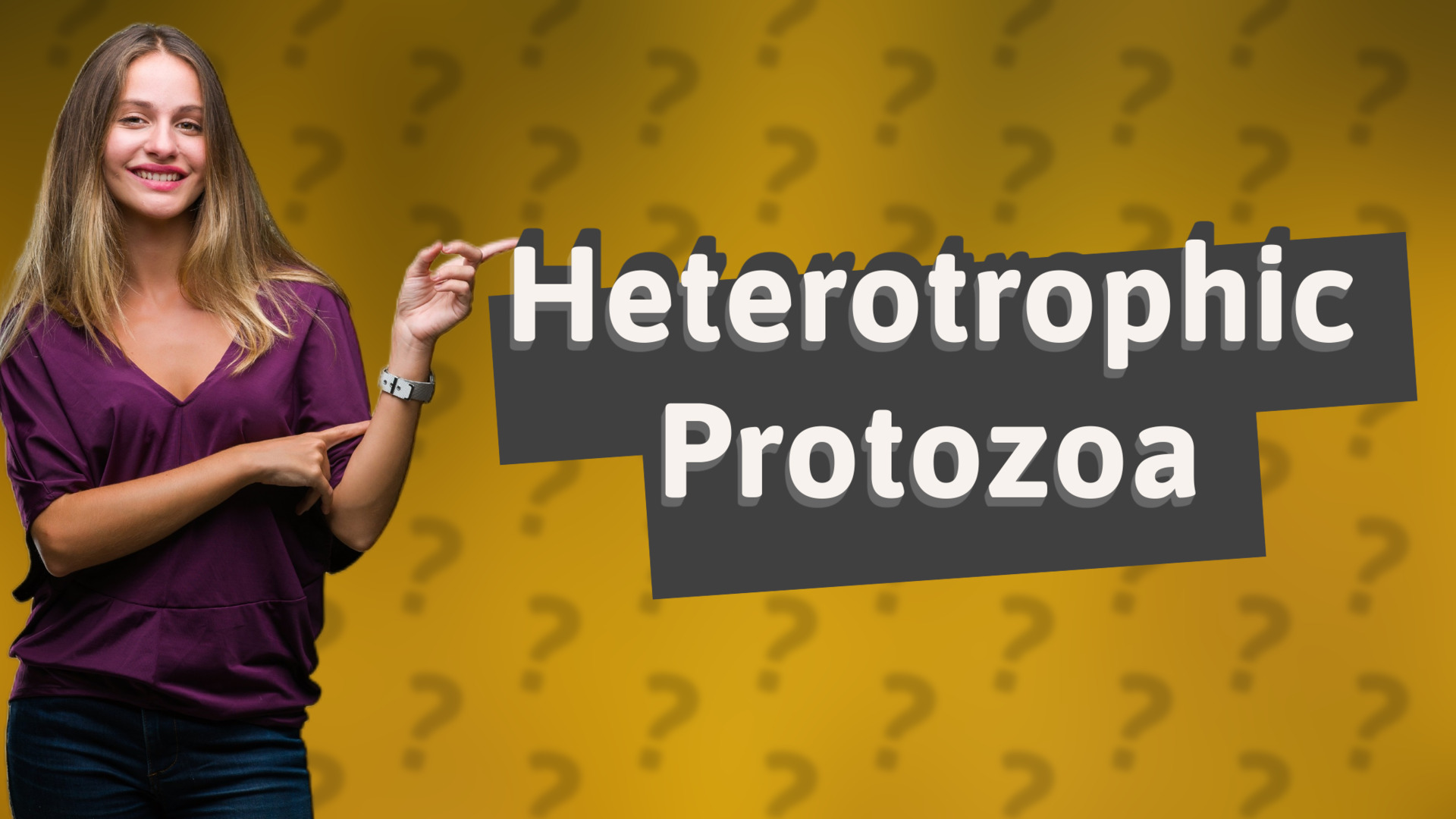 Heterotrophic Protozoa