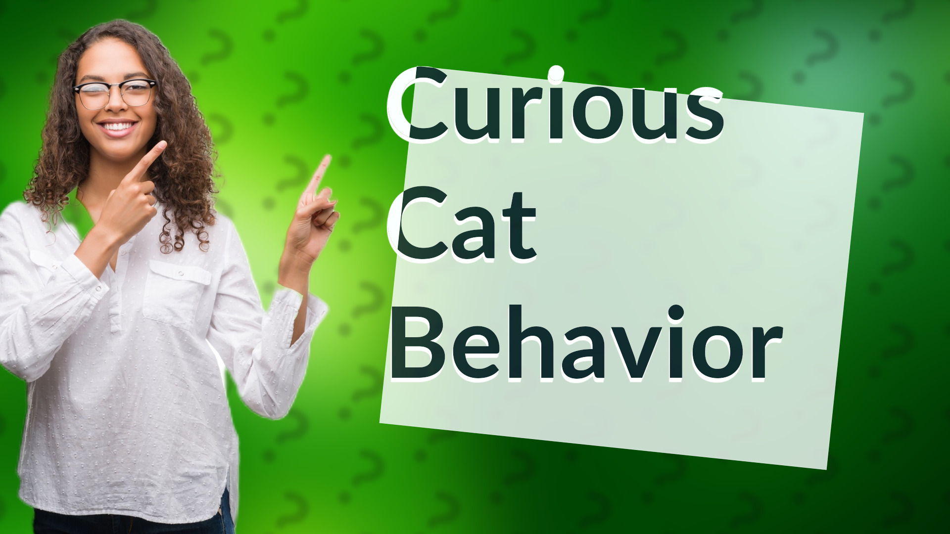 Curious Cat Behavior