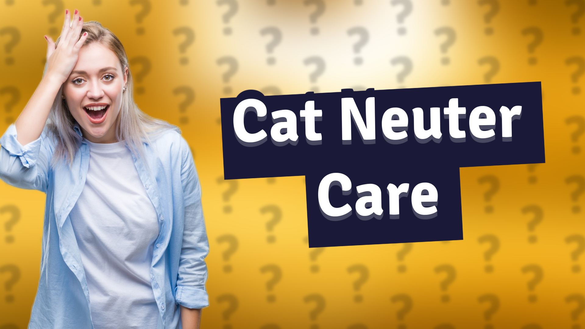Cat Neuter Care