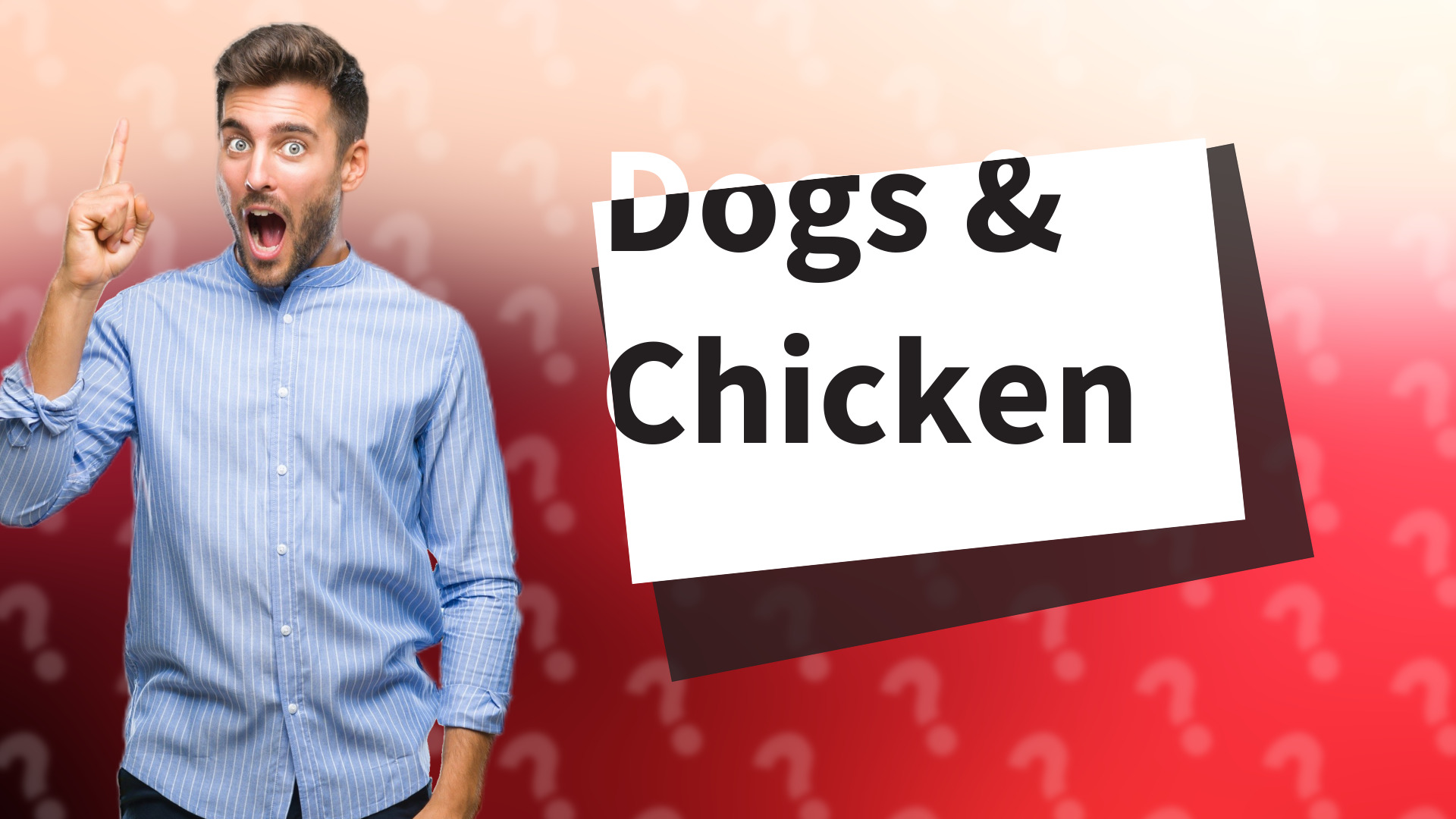 Dogs & Chicken