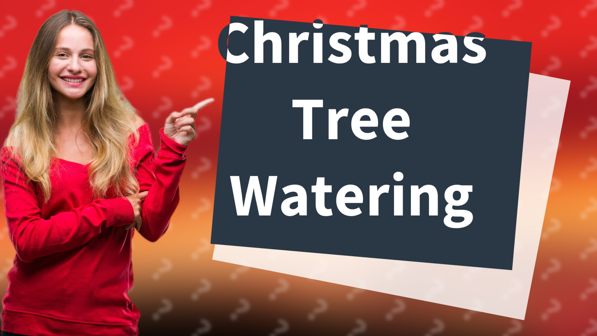 Christmas Tree Watering