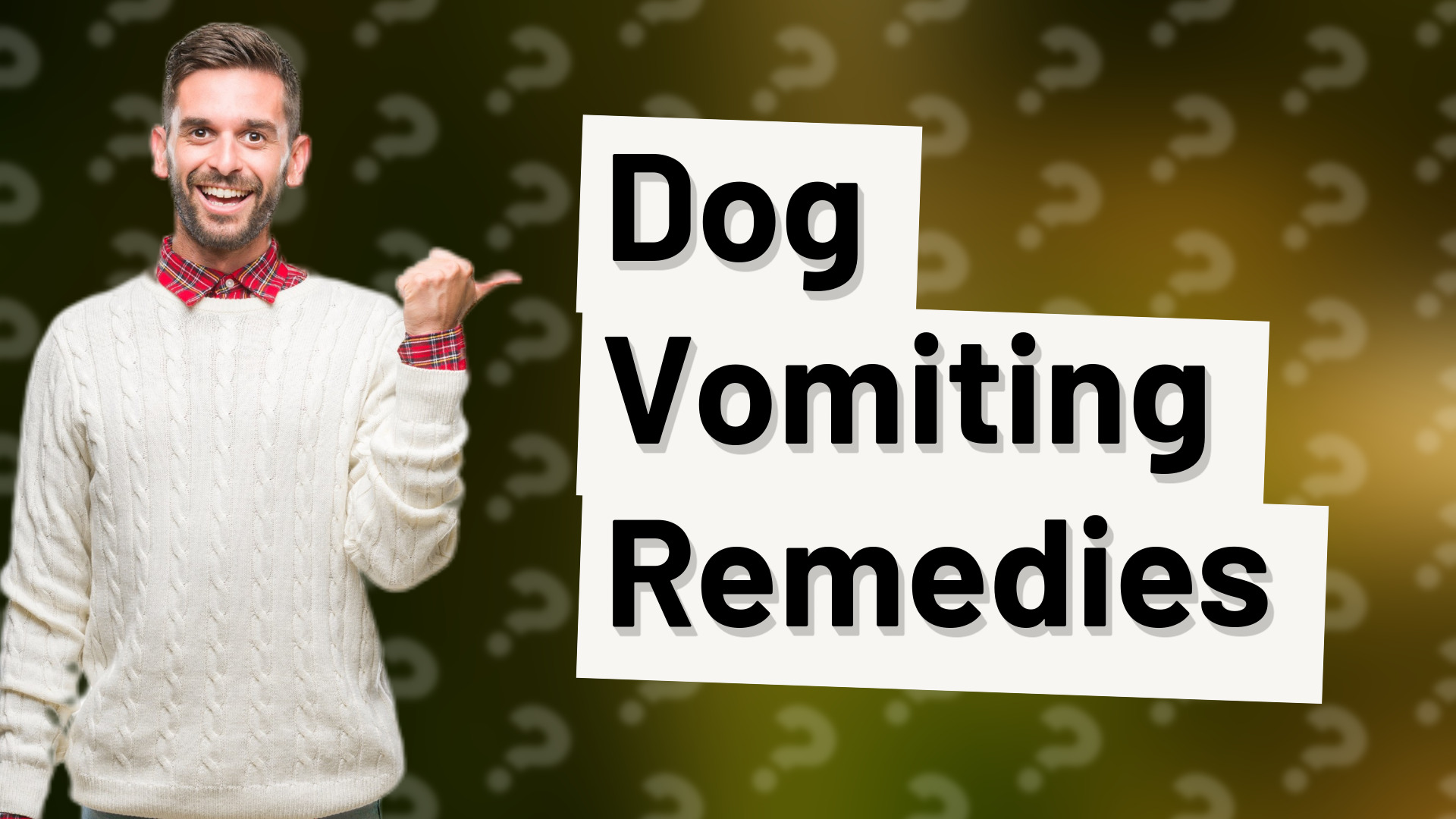 Dog Vomiting Remedies