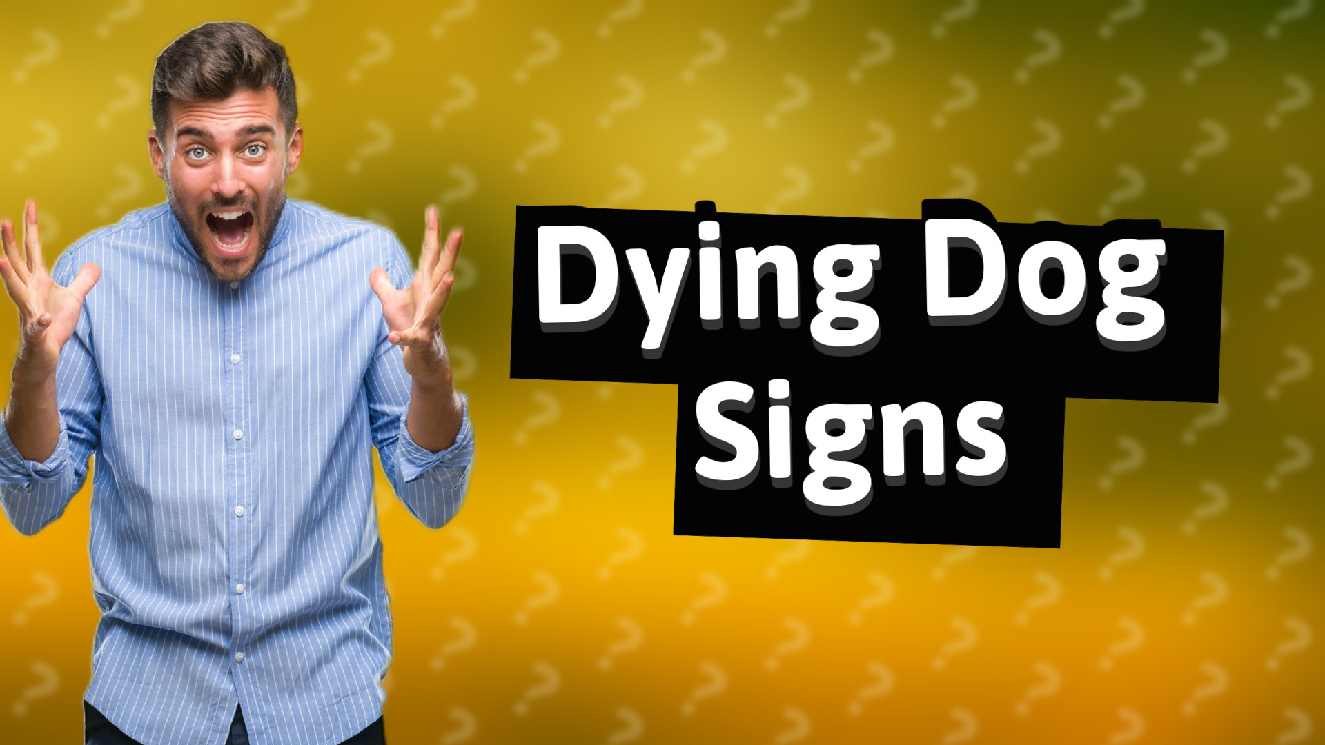 Dying Dog Signs