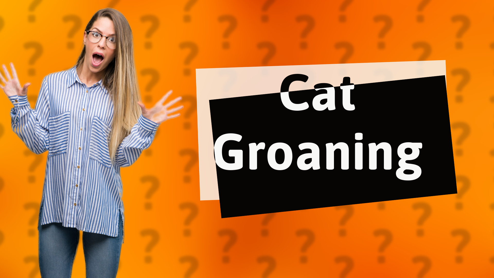 Cat Groaning