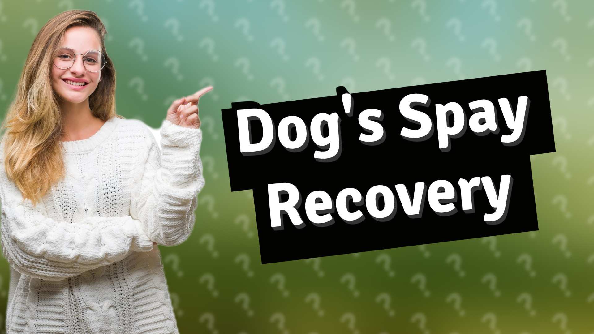 Dog's Spay Recovery