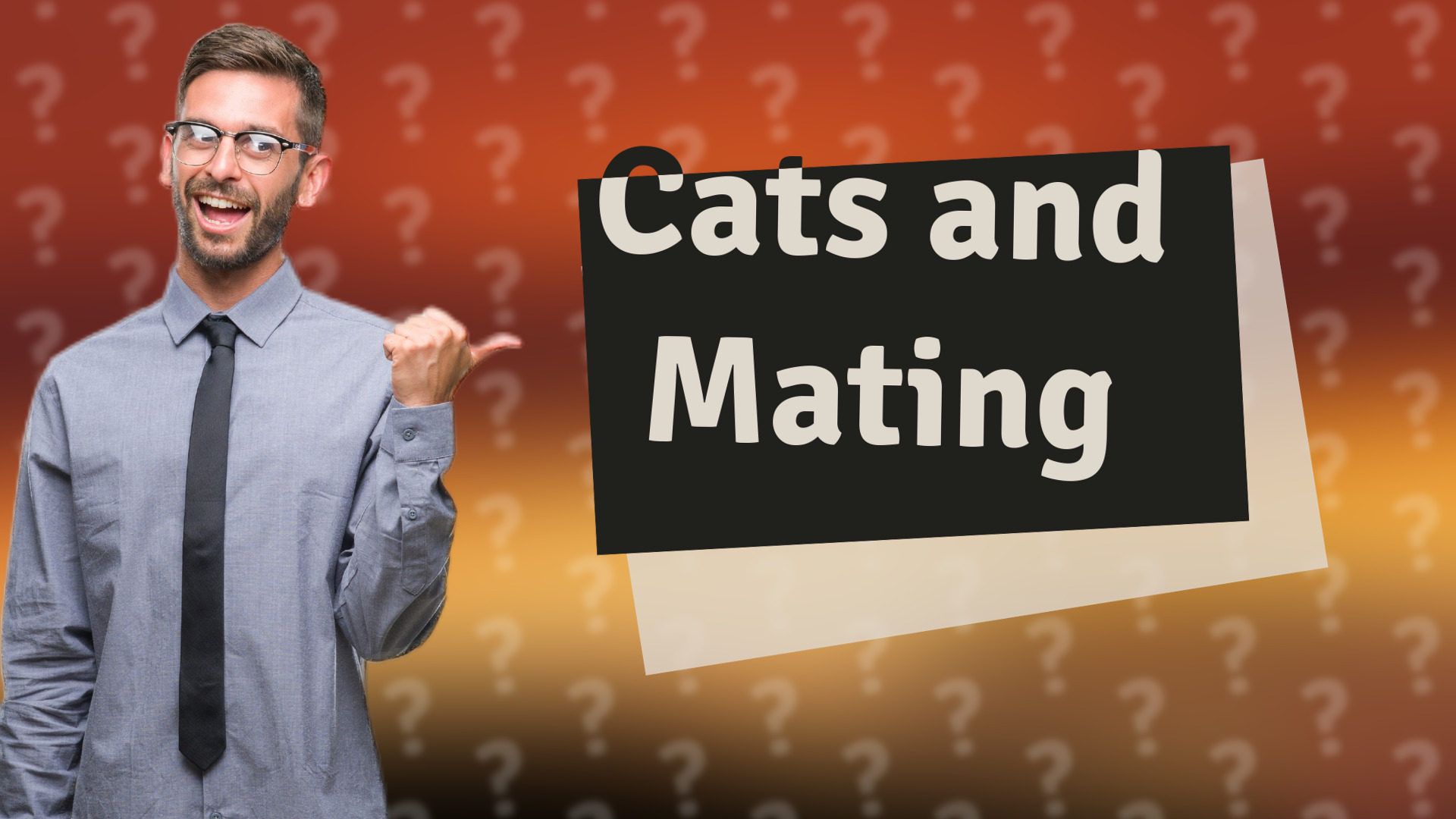 Cats and Mating