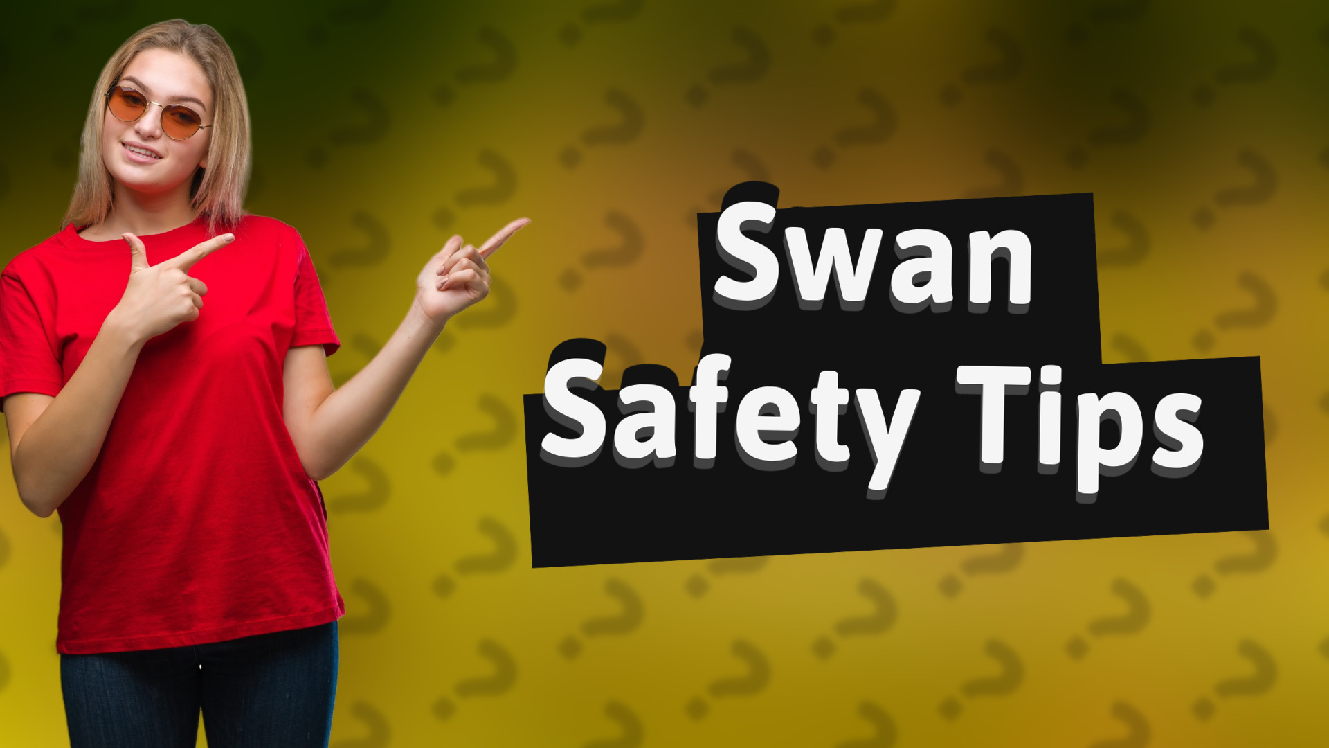 Swan Safety Tips