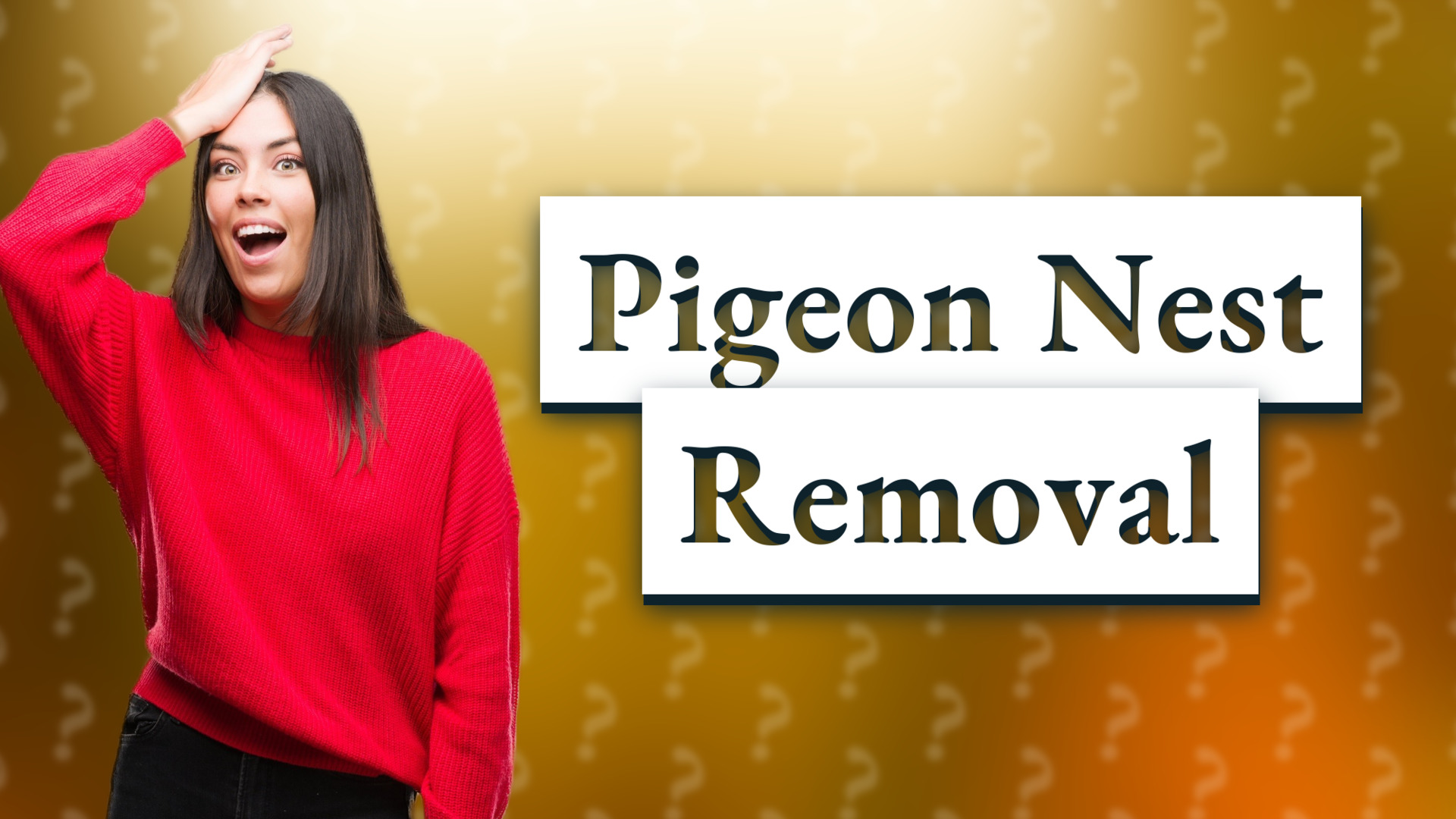 Pigeon Nest Removal