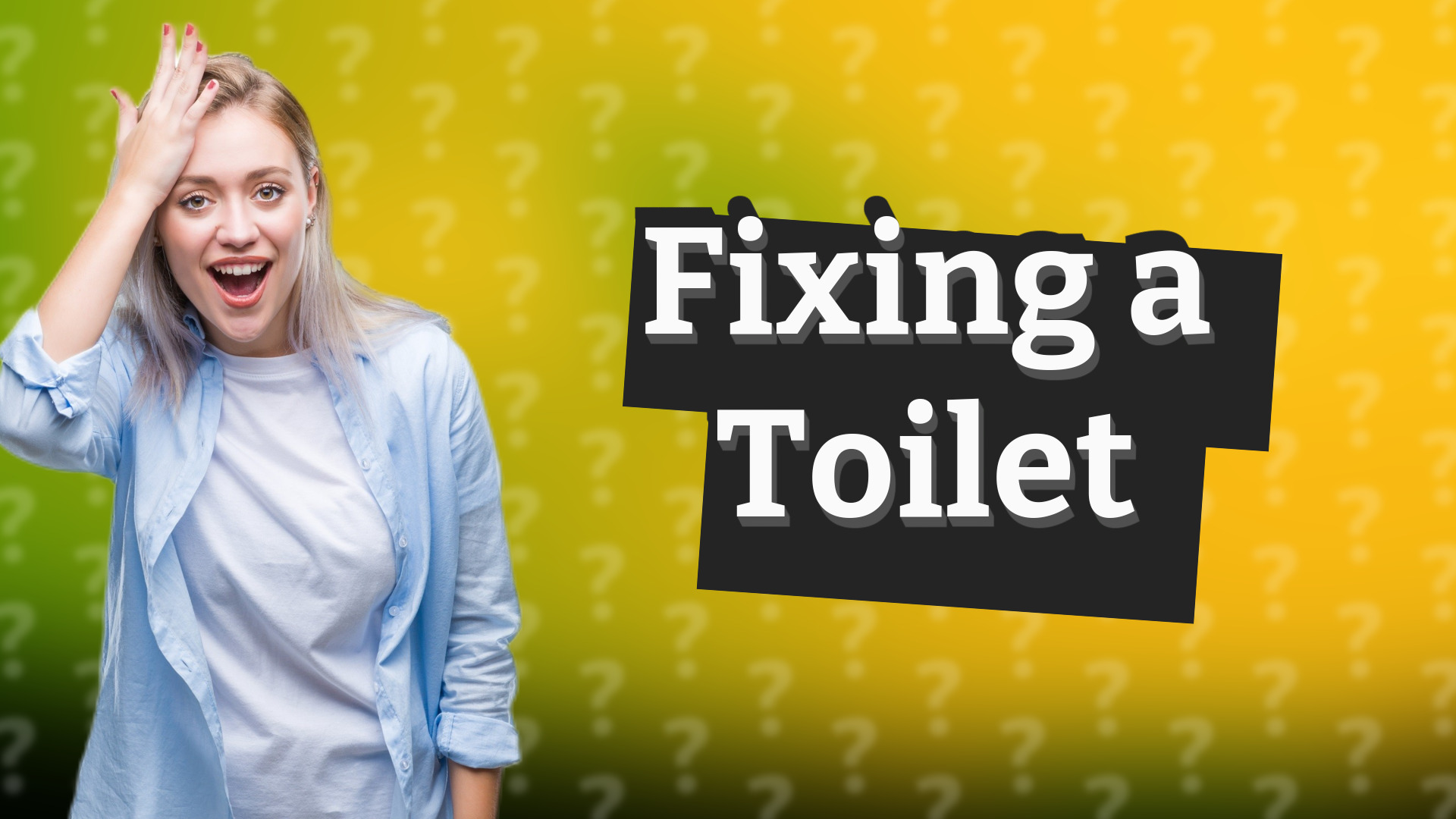 Fixing a Toilet