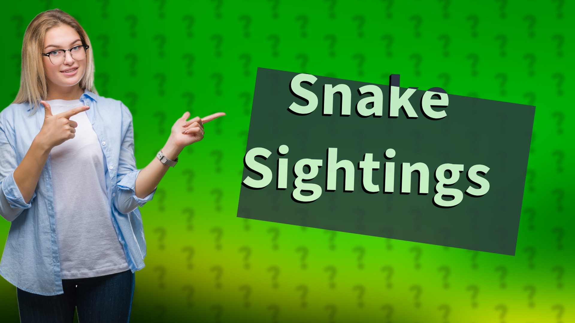 Snake Sightings