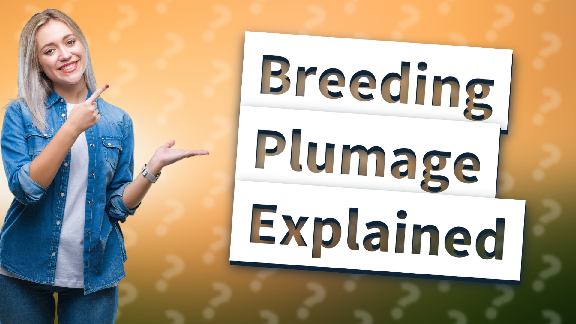 Breeding Plumage Explained