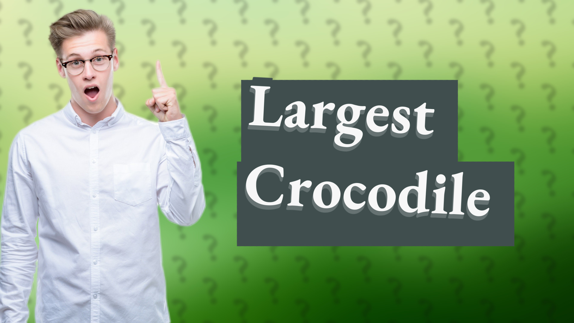 Largest Crocodile
