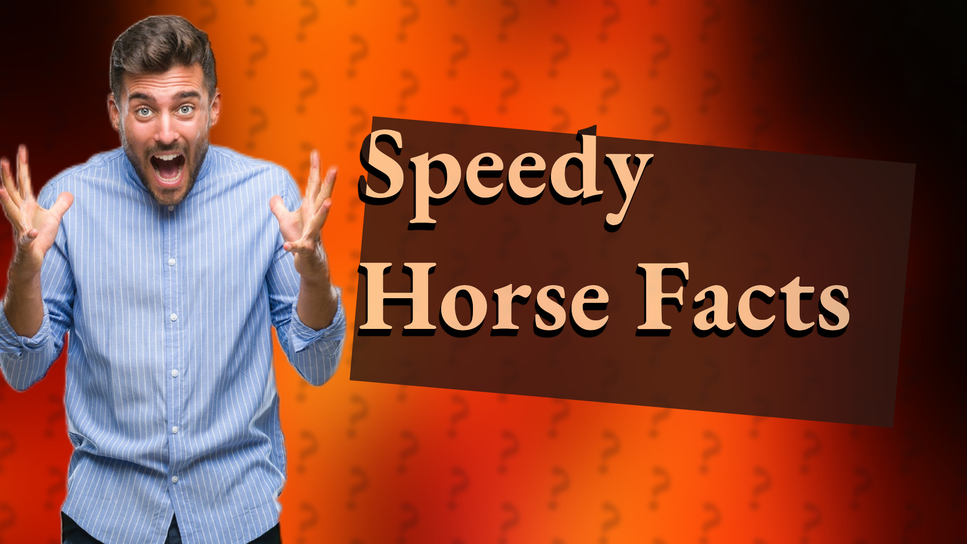 Speedy Horse Facts