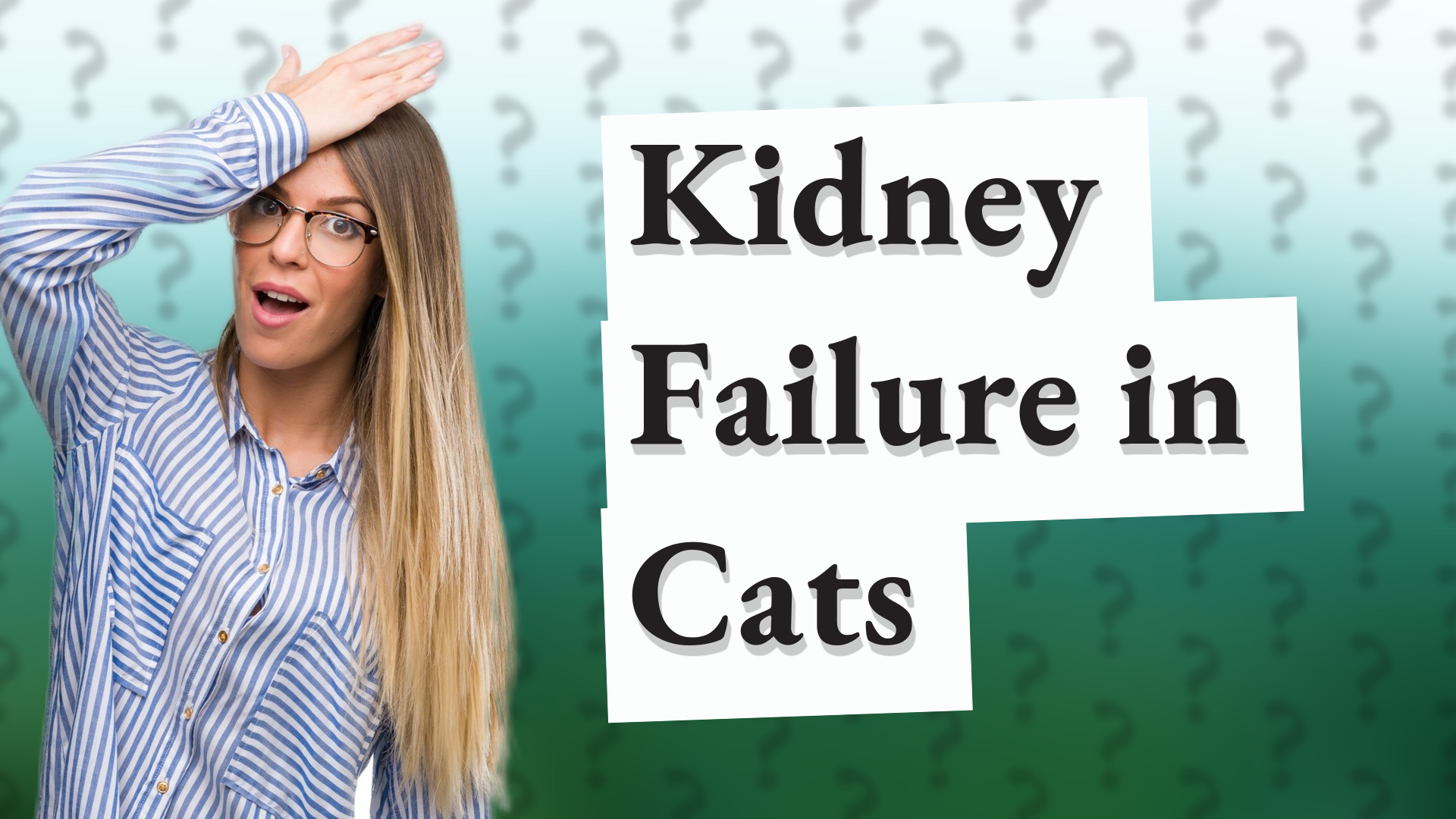 Kidney Failure in Cats