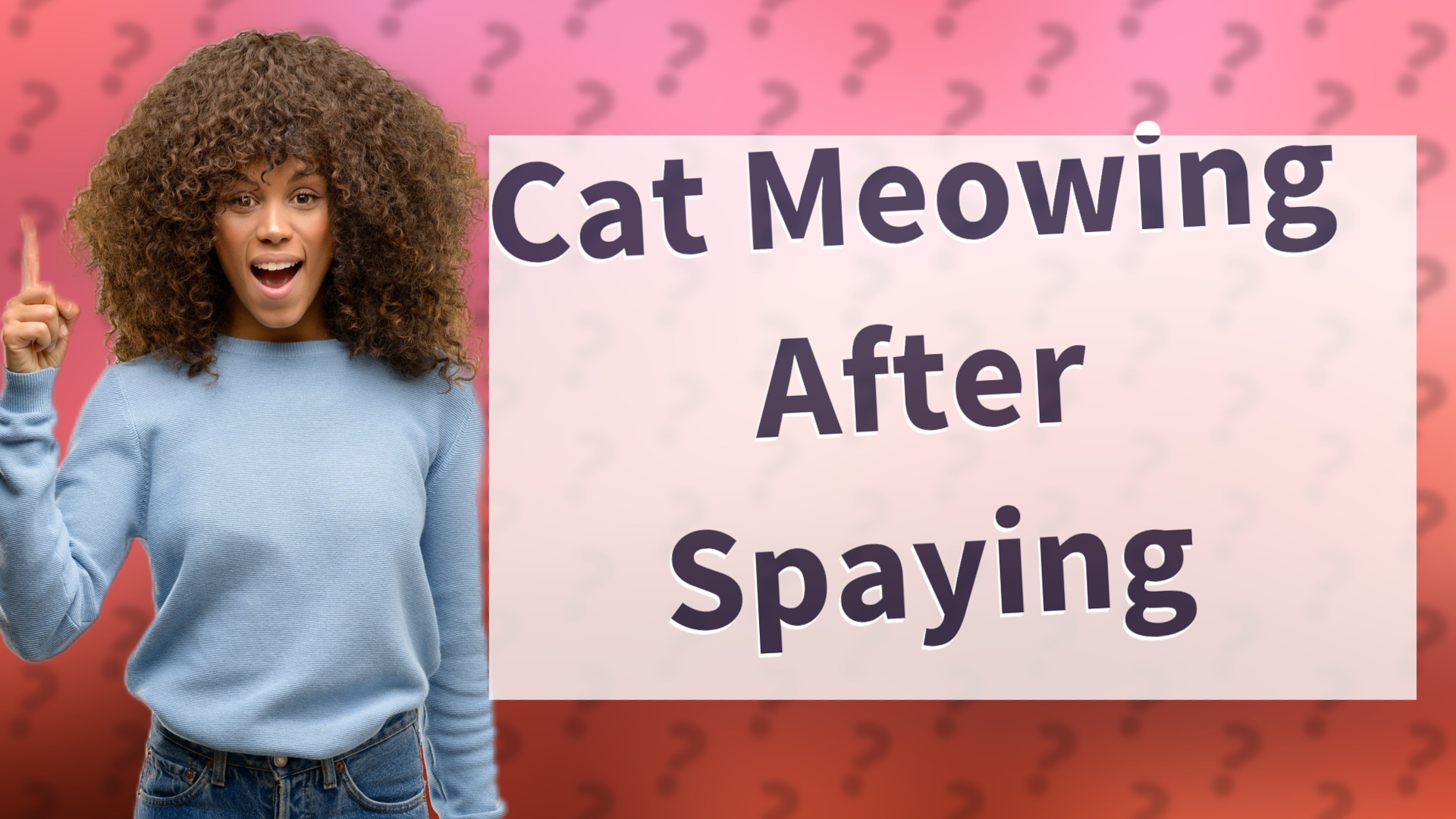 Cat Meowing After Spaying