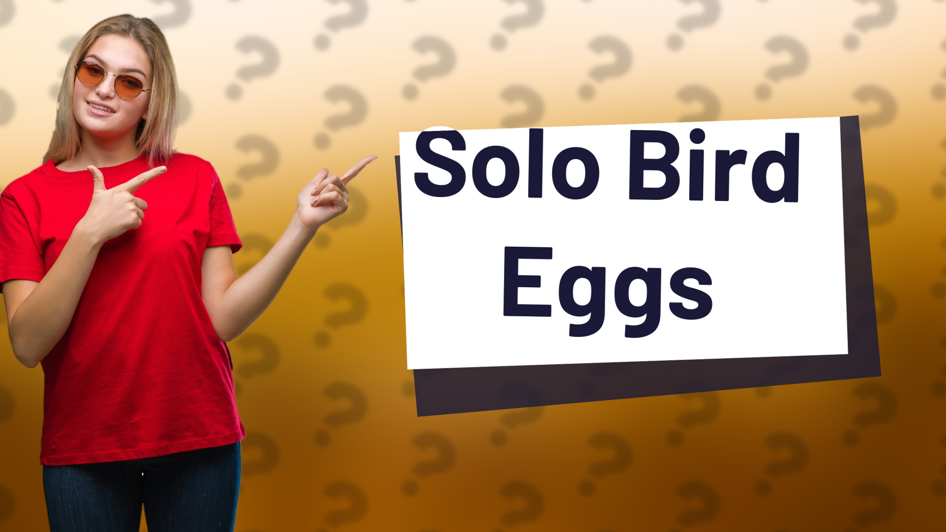 Solo Bird Eggs