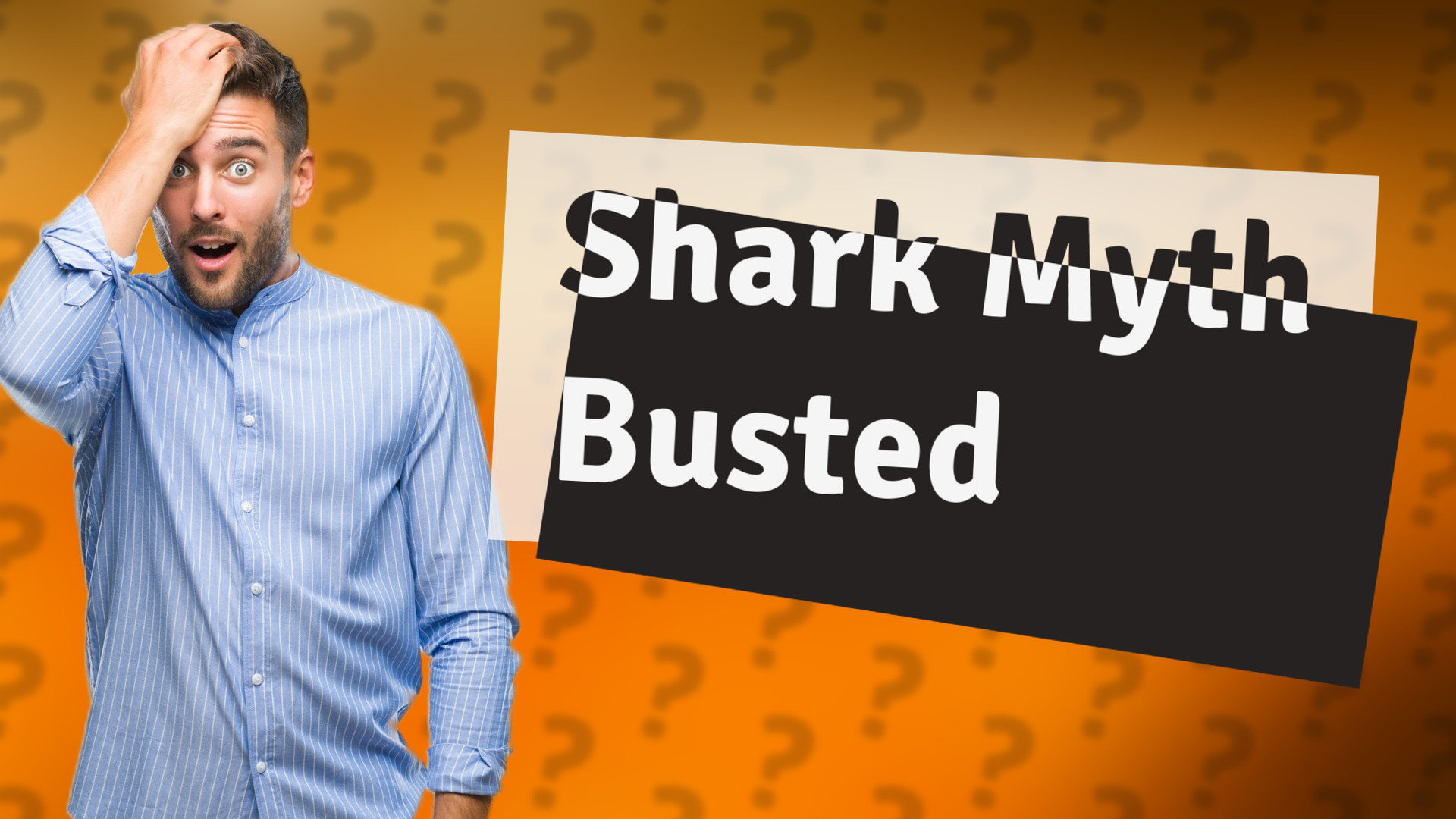 Shark Myth Busted