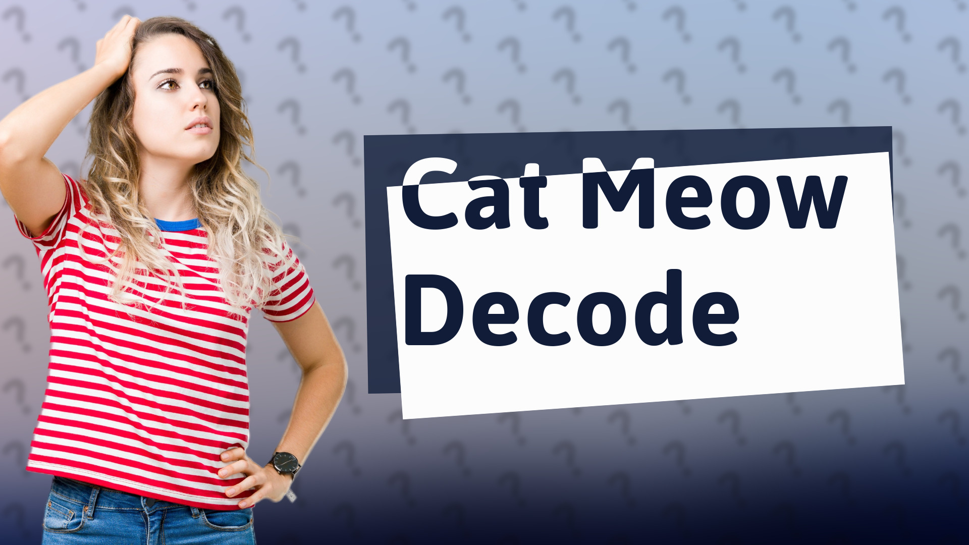 Cat Meow Decode