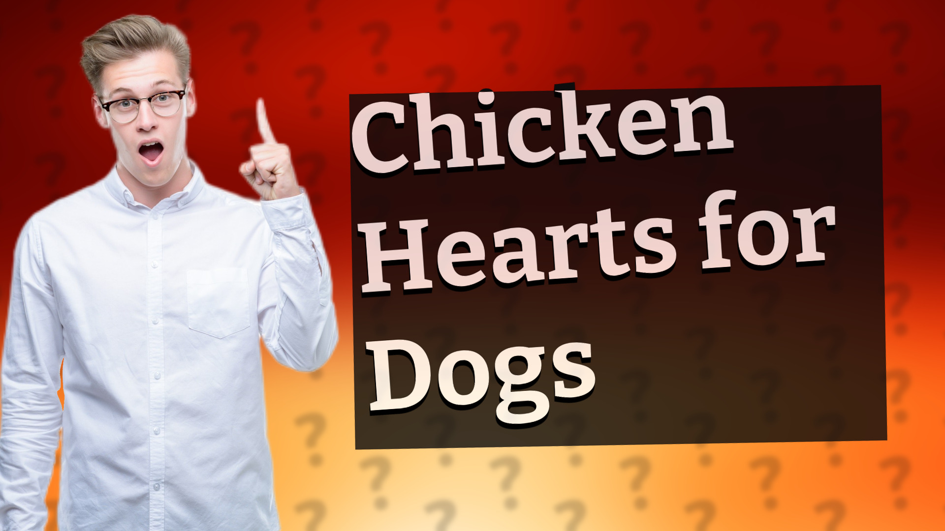 Chicken Hearts for Dogs