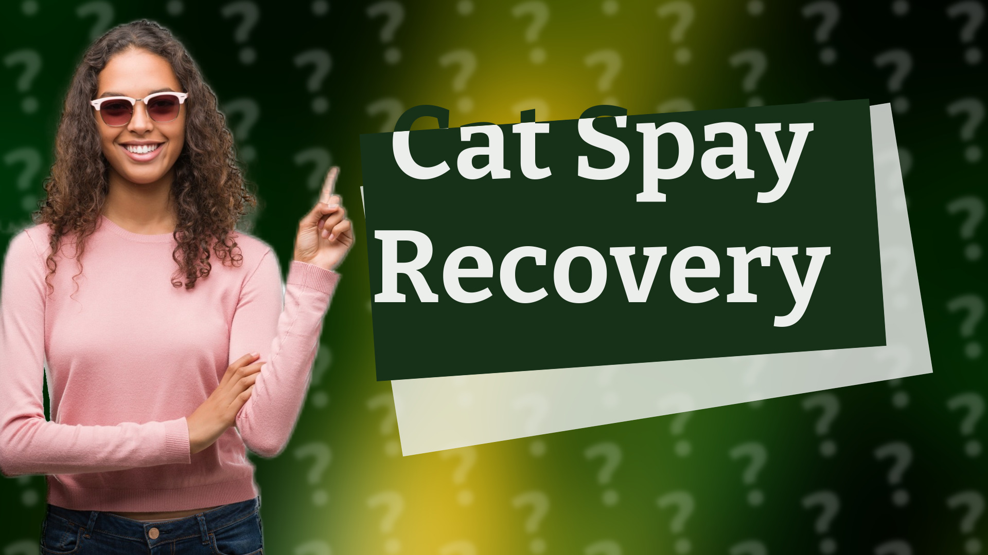 Cat Spay Recovery