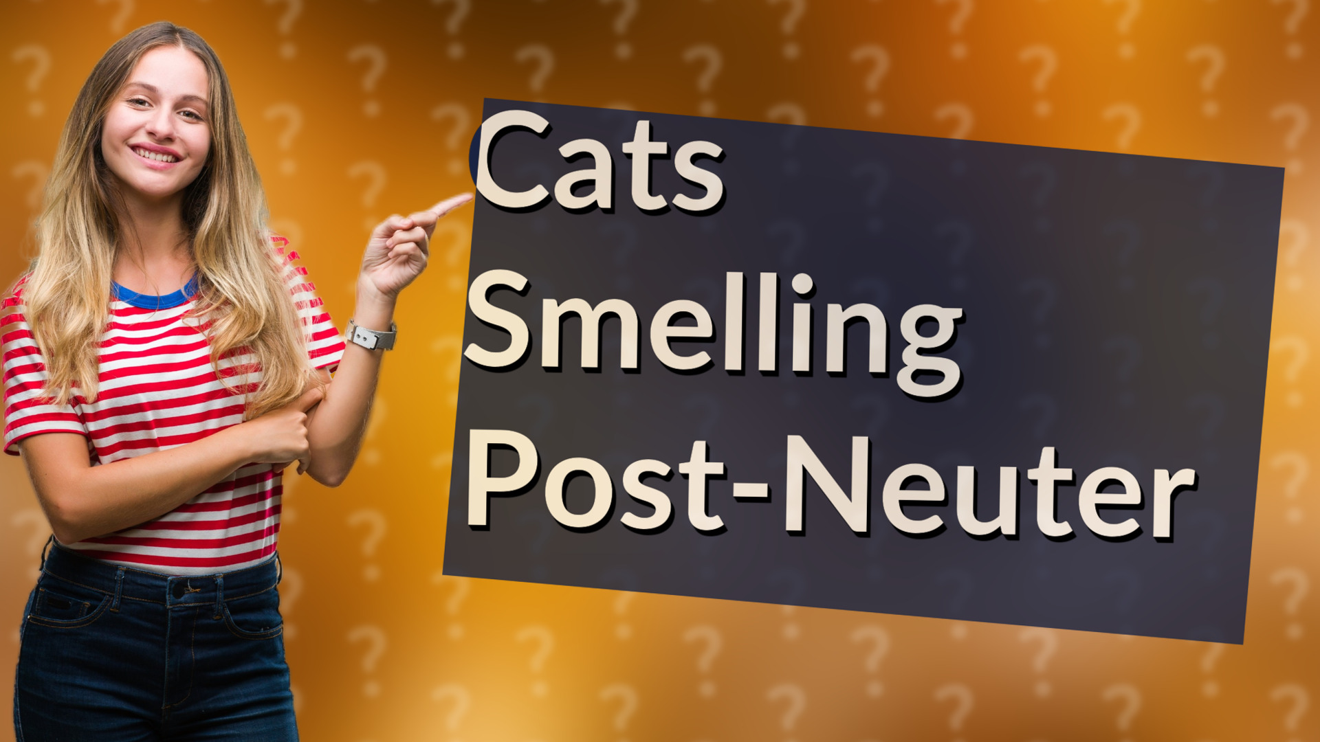 Cats Smelling Post-Neuter