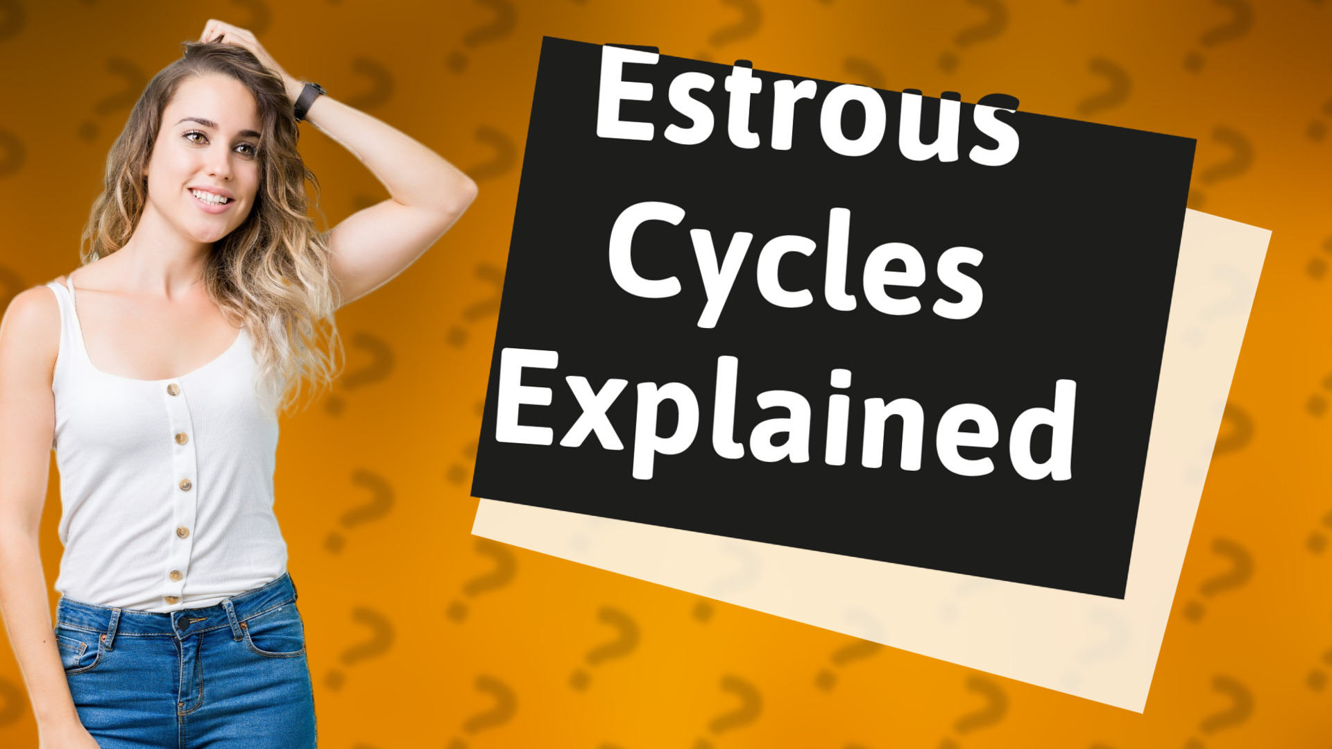 Estrous Cycles Explained