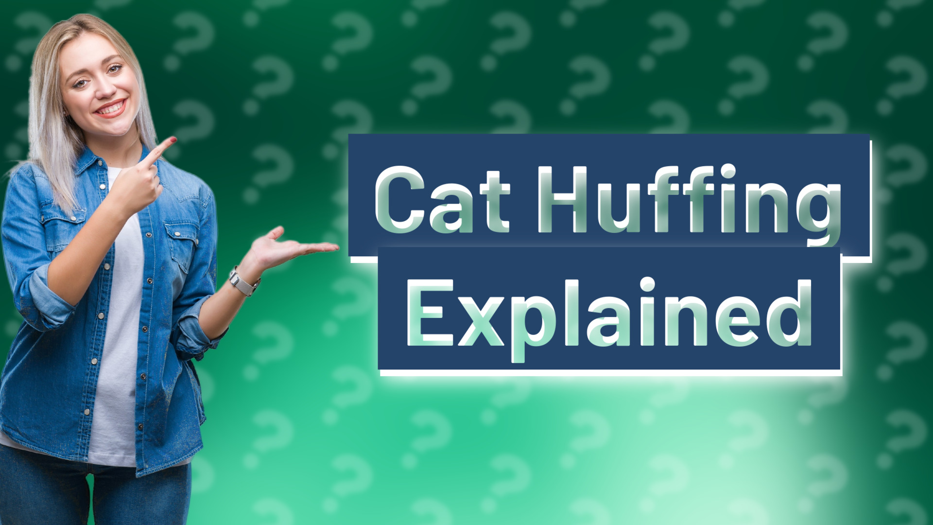 Cat Huffing Explained