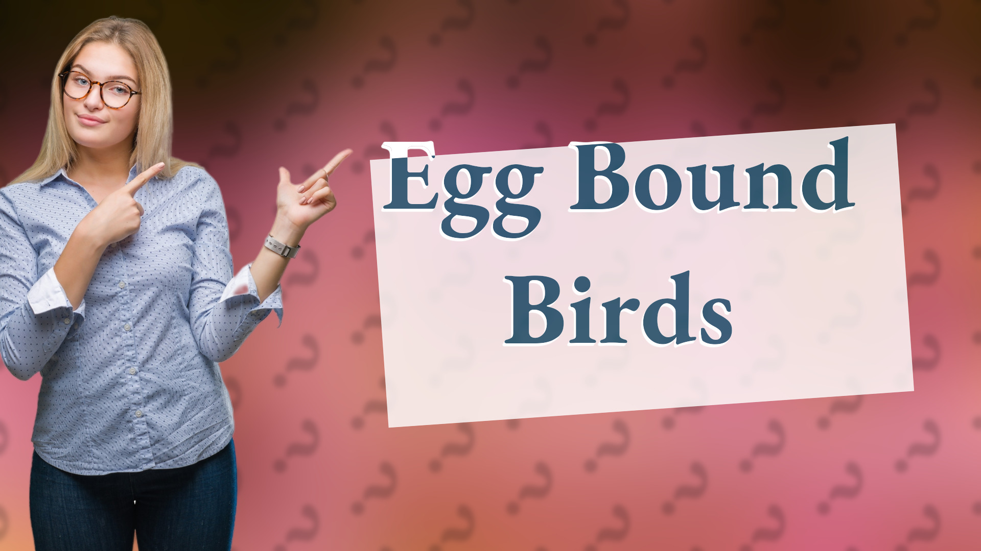 Egg Bound Birds