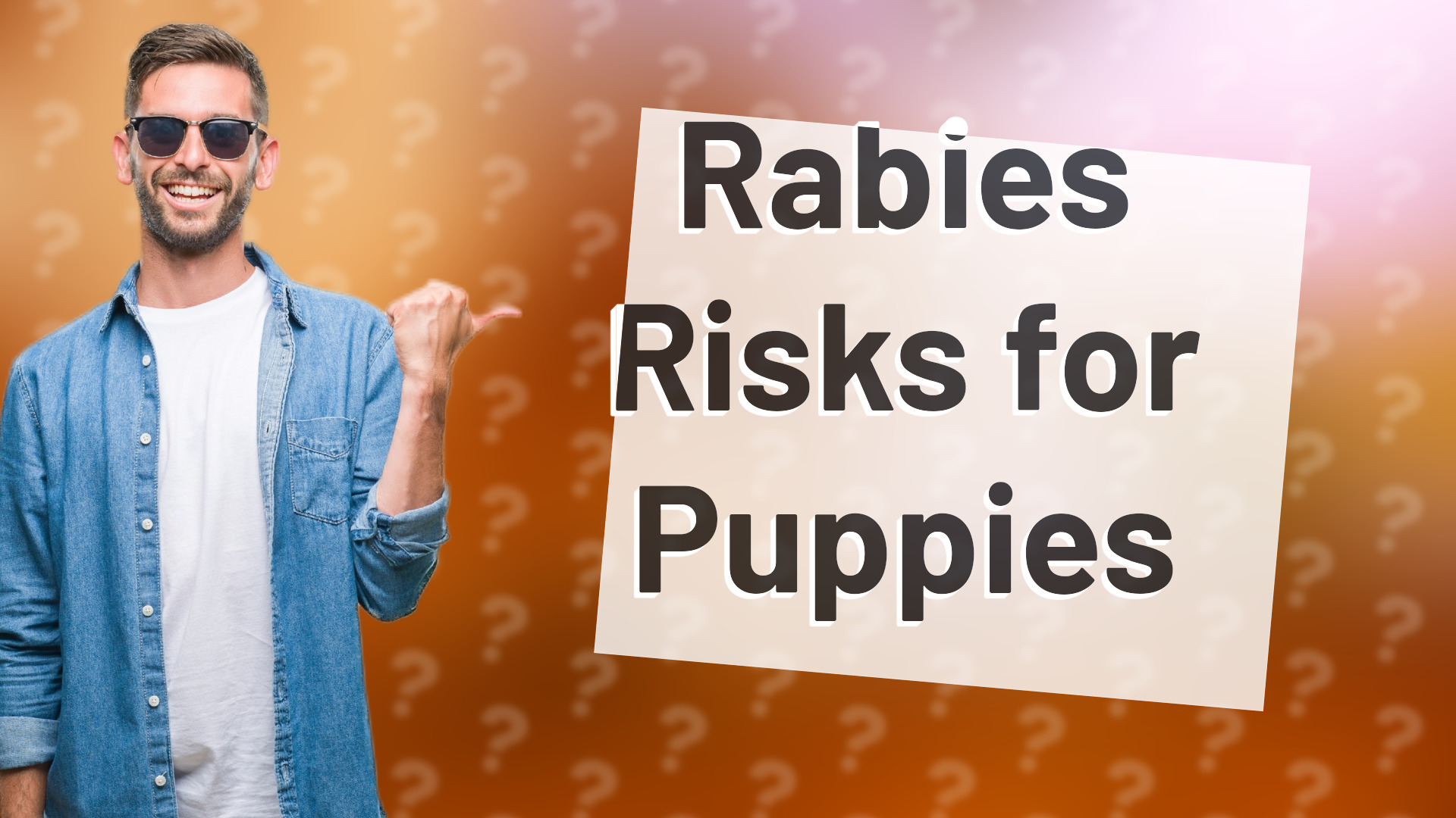 Rabies Risks for Puppies