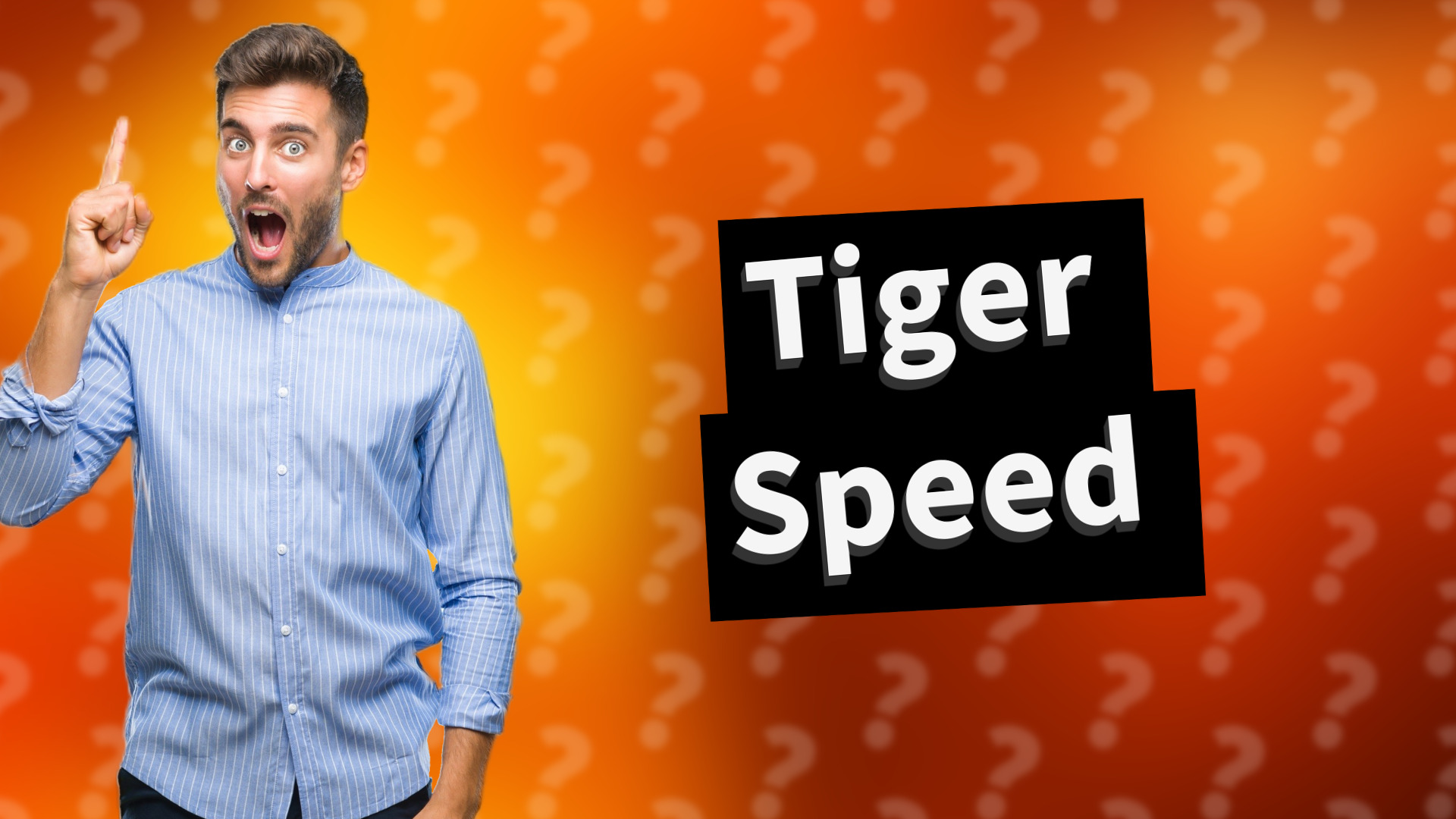 Tiger Speed