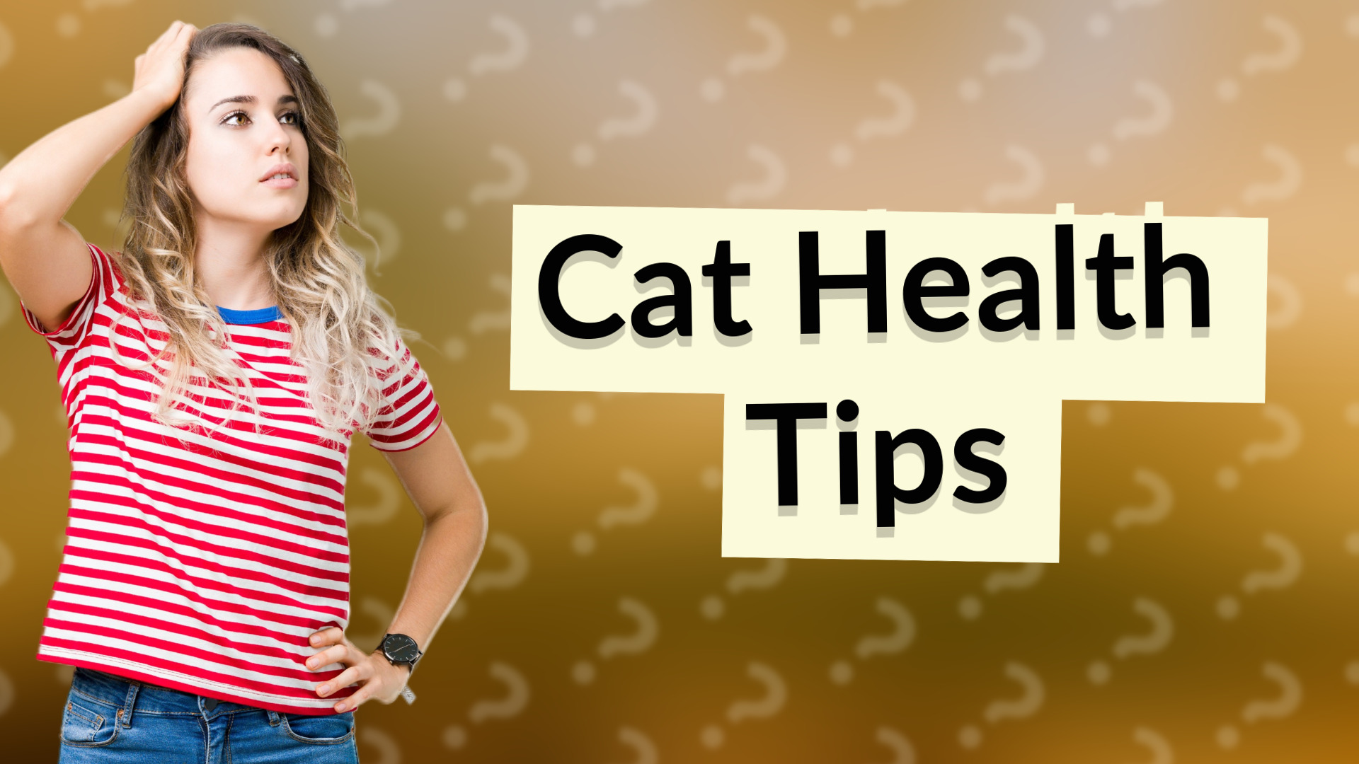Cat Health Tips