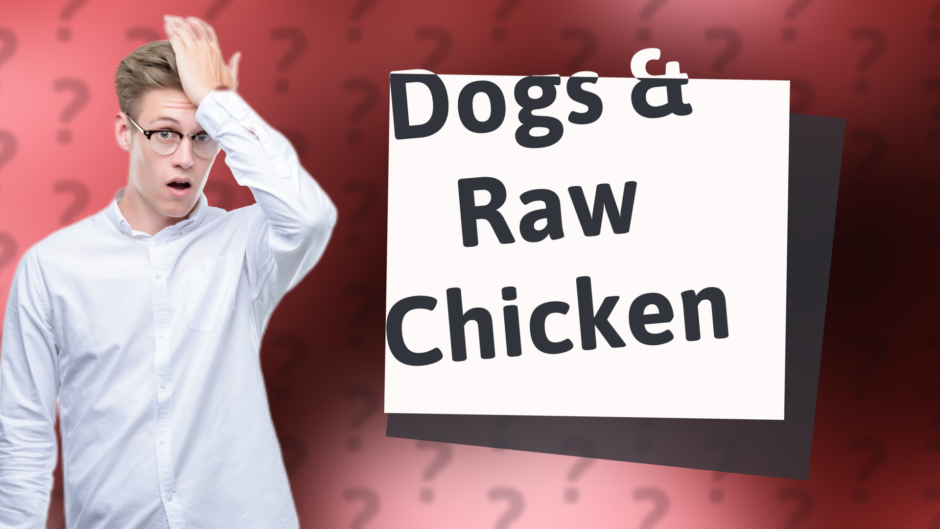 Dogs & Raw Chicken
