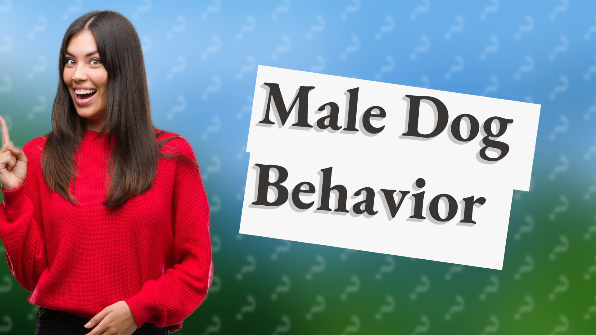 Male Dog Behavior