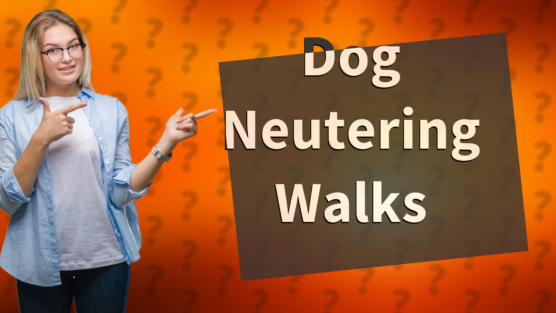 Dog Neutering Walks
