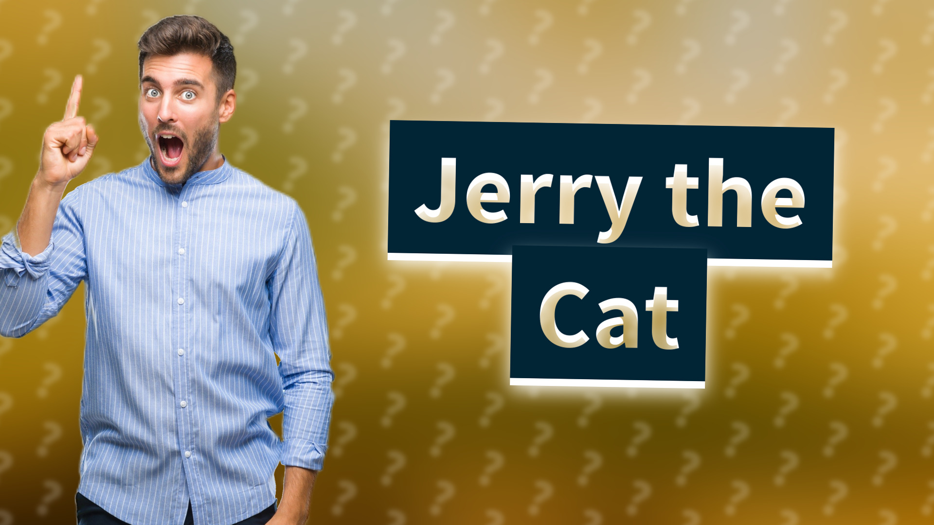 Jerry the Cat