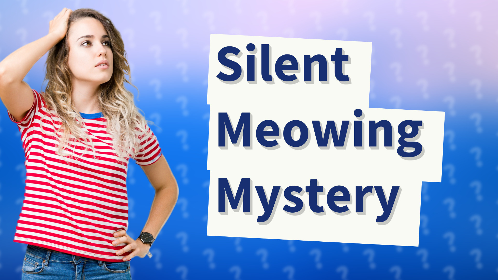 Silent Meowing Mystery