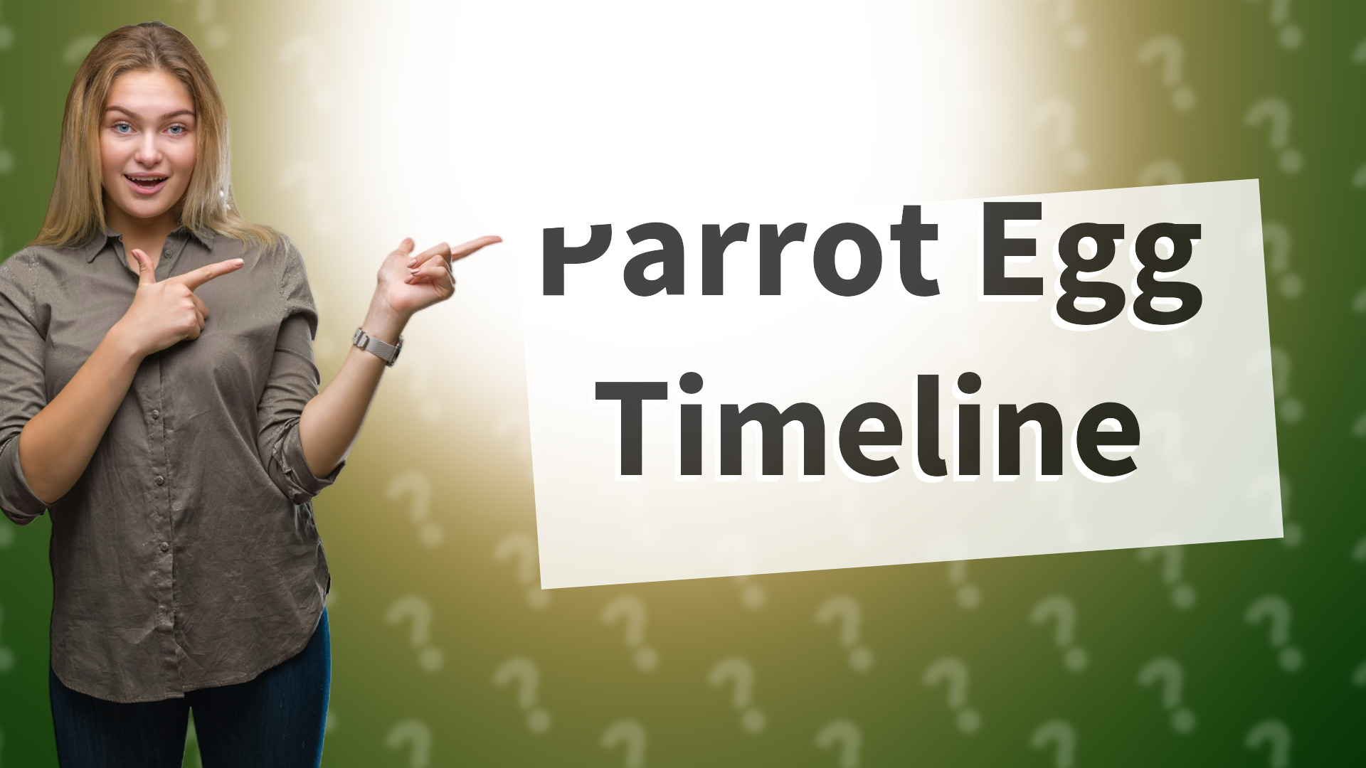 Parrot Egg Timeline