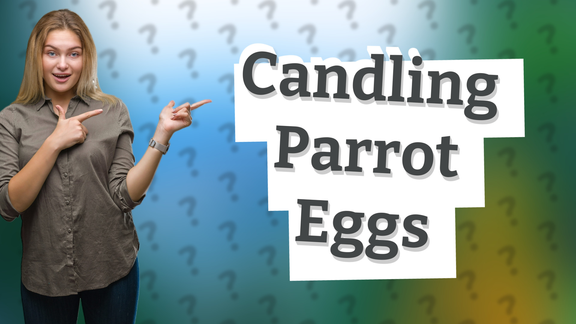 Candling Parrot Eggs